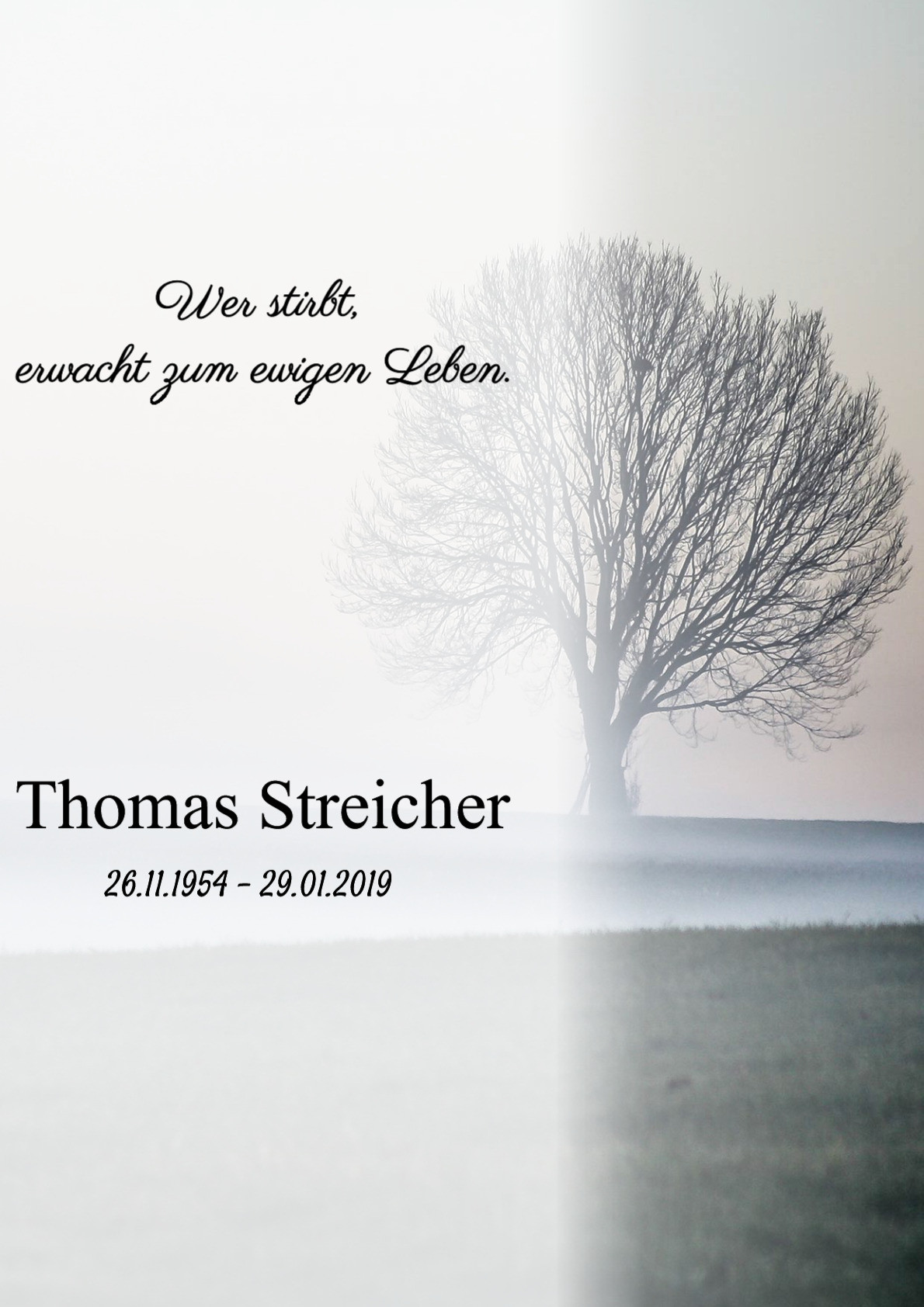 Traueranzeige von Thomas Streicher