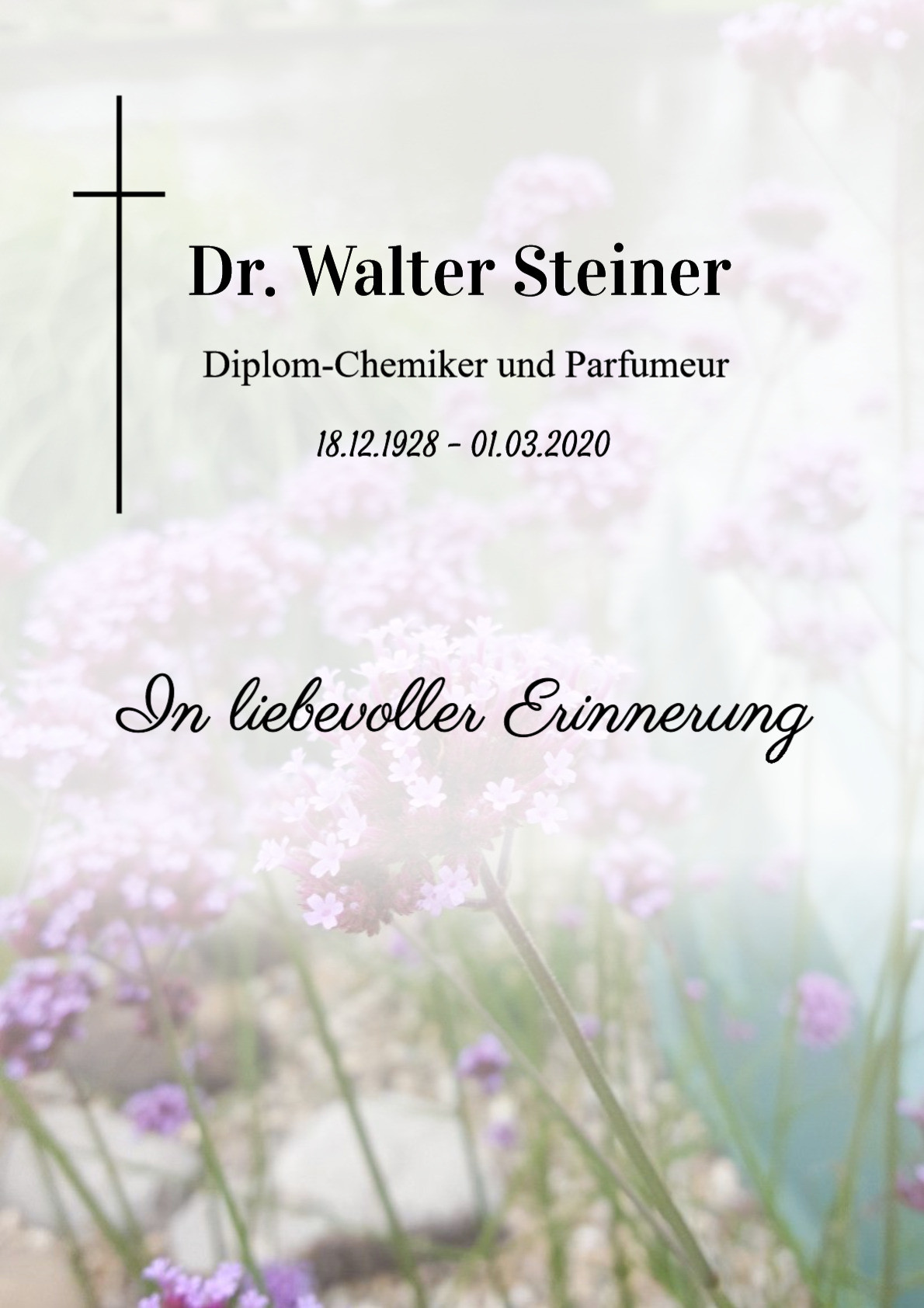 Traueranzeige von Dr. Walter Steiner
