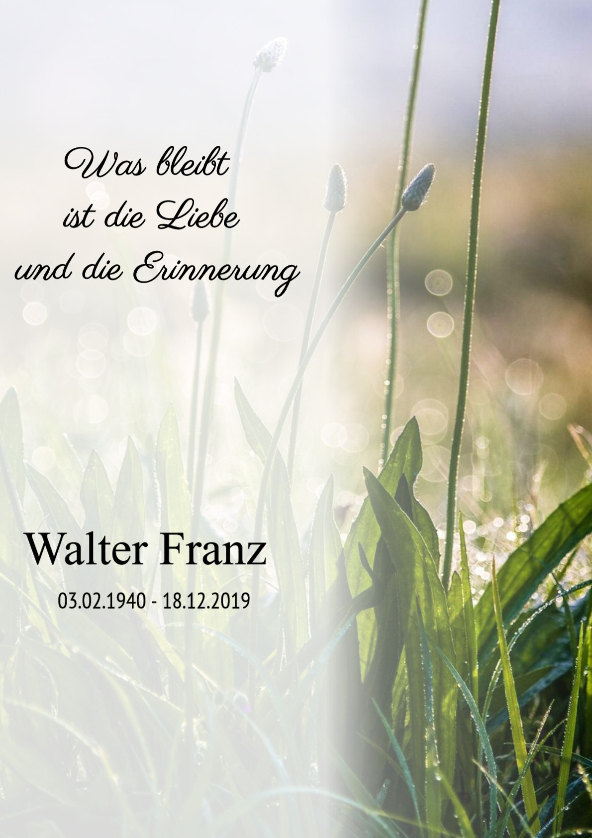 Traueranzeige von Walter Franz