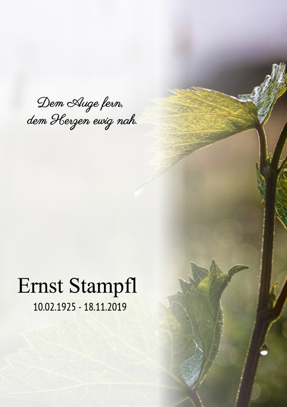 Traueranzeige von Ernst Stampfl