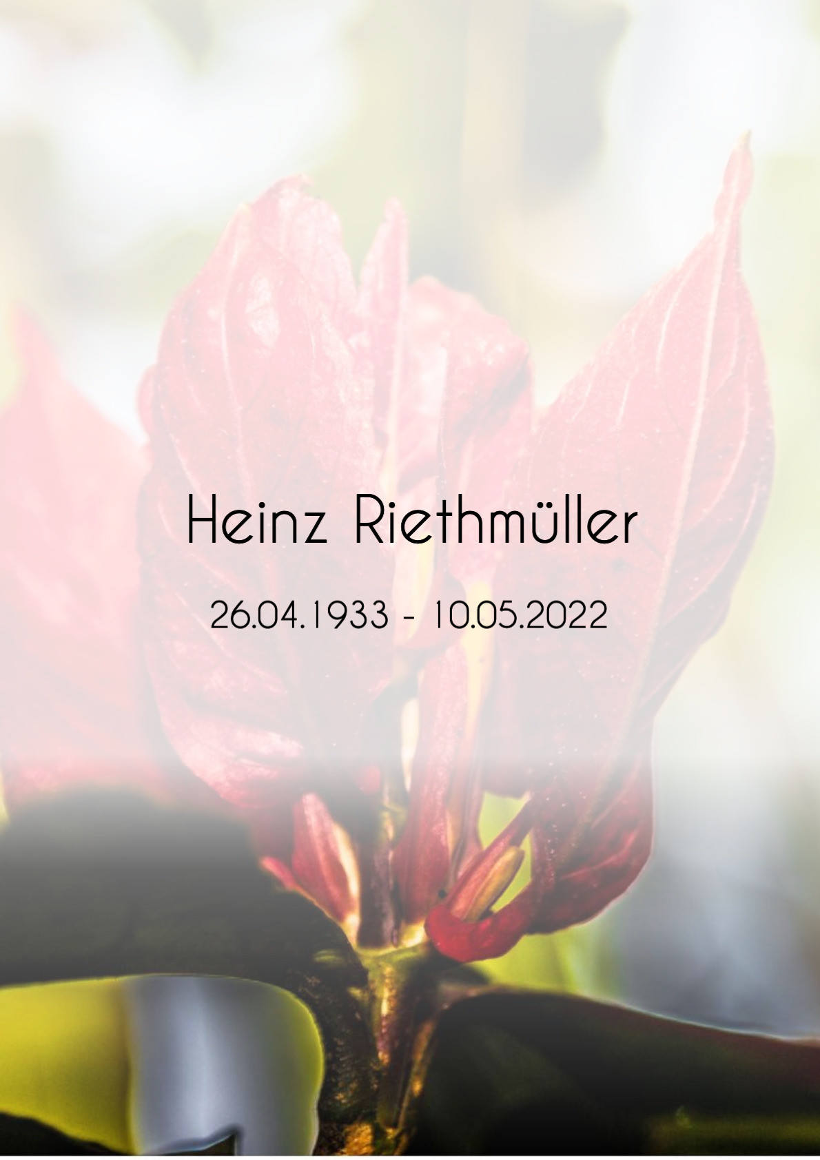 Traueranzeige von Heinz Riethmüller