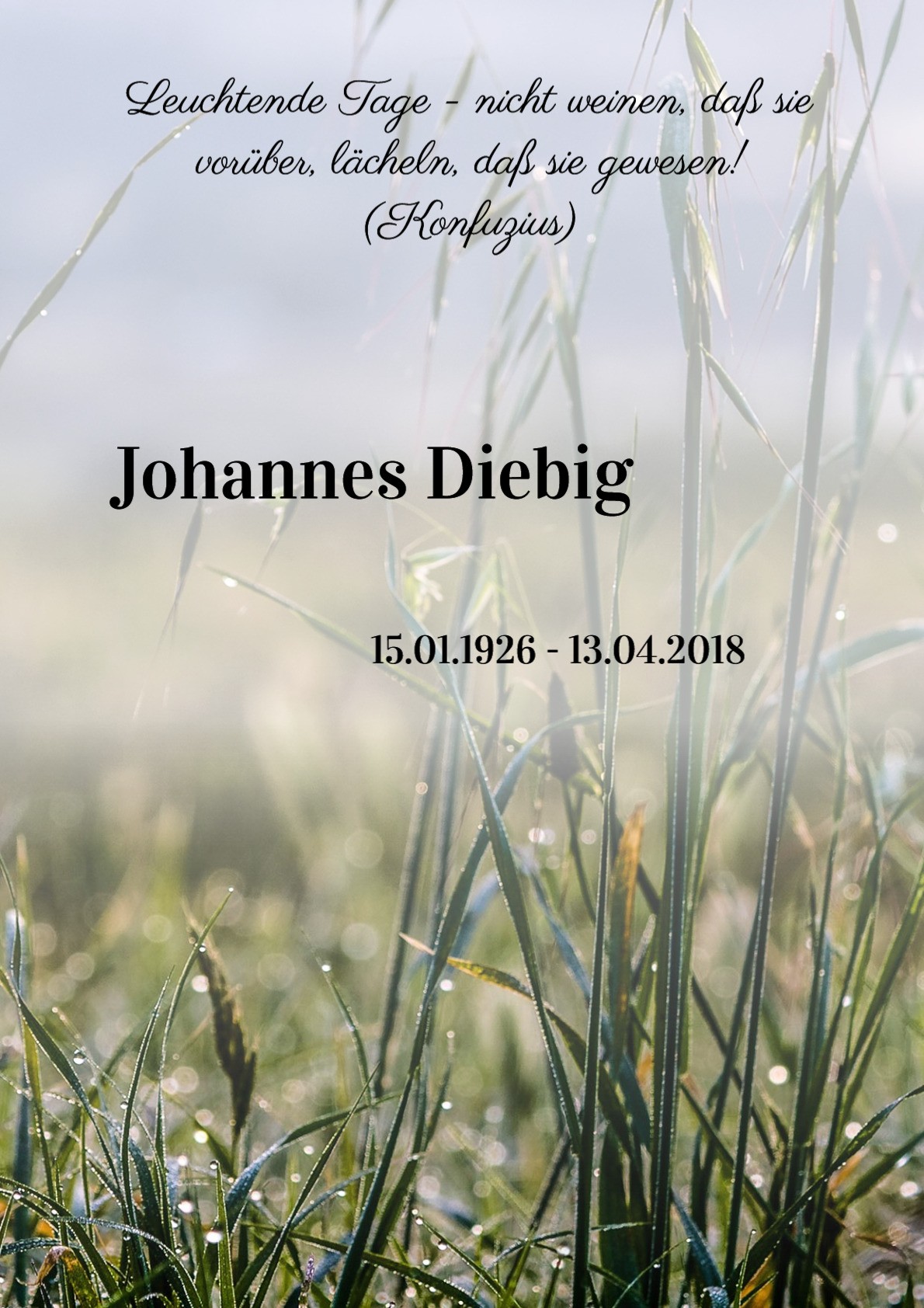 Traueranzeige von Johannes Diebig