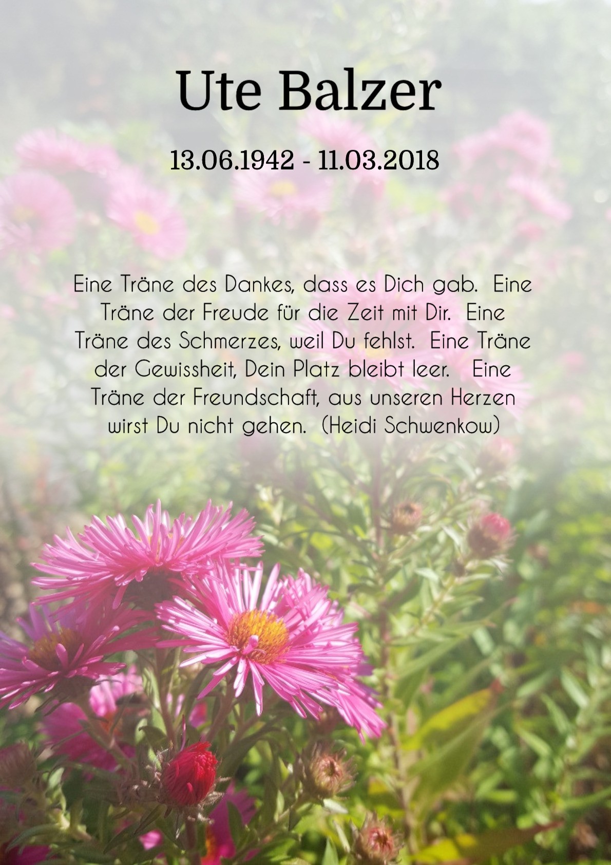 Traueranzeige von Ute Balzer
