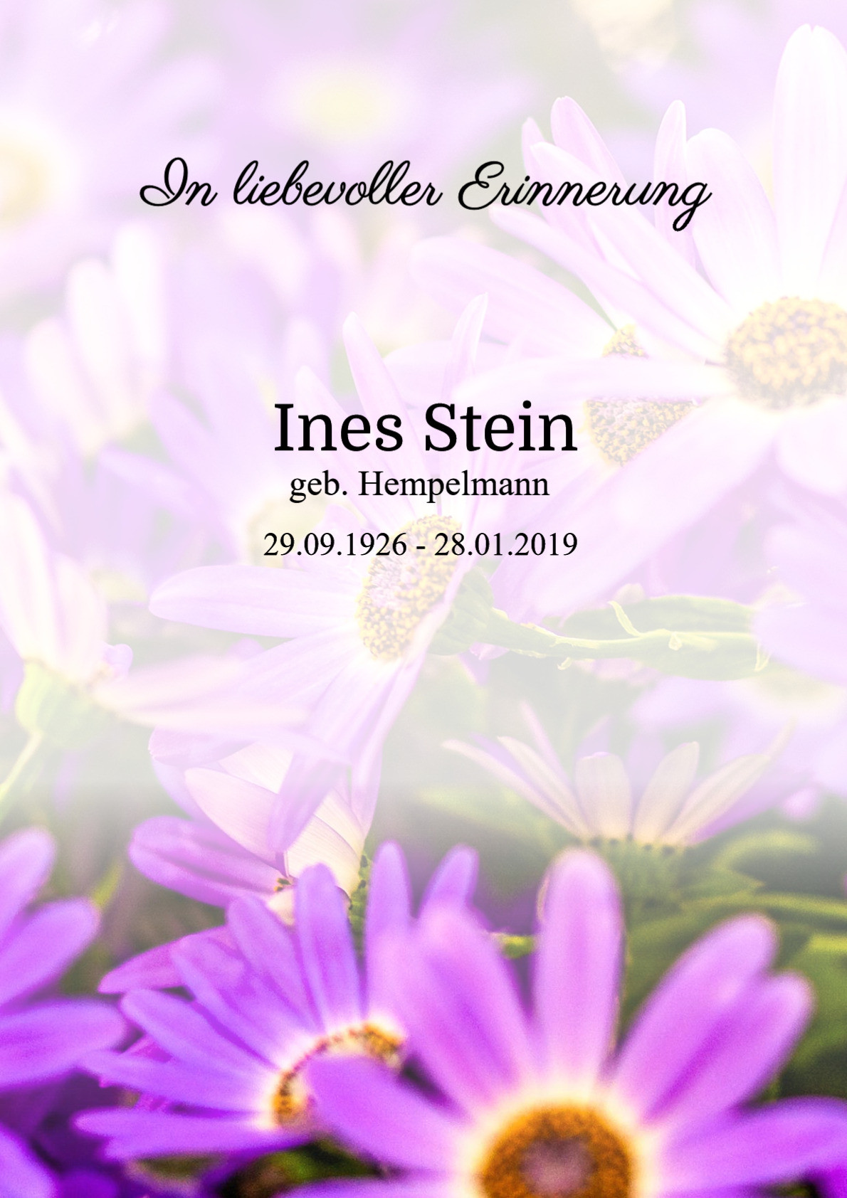 Traueranzeige von Ines Stein