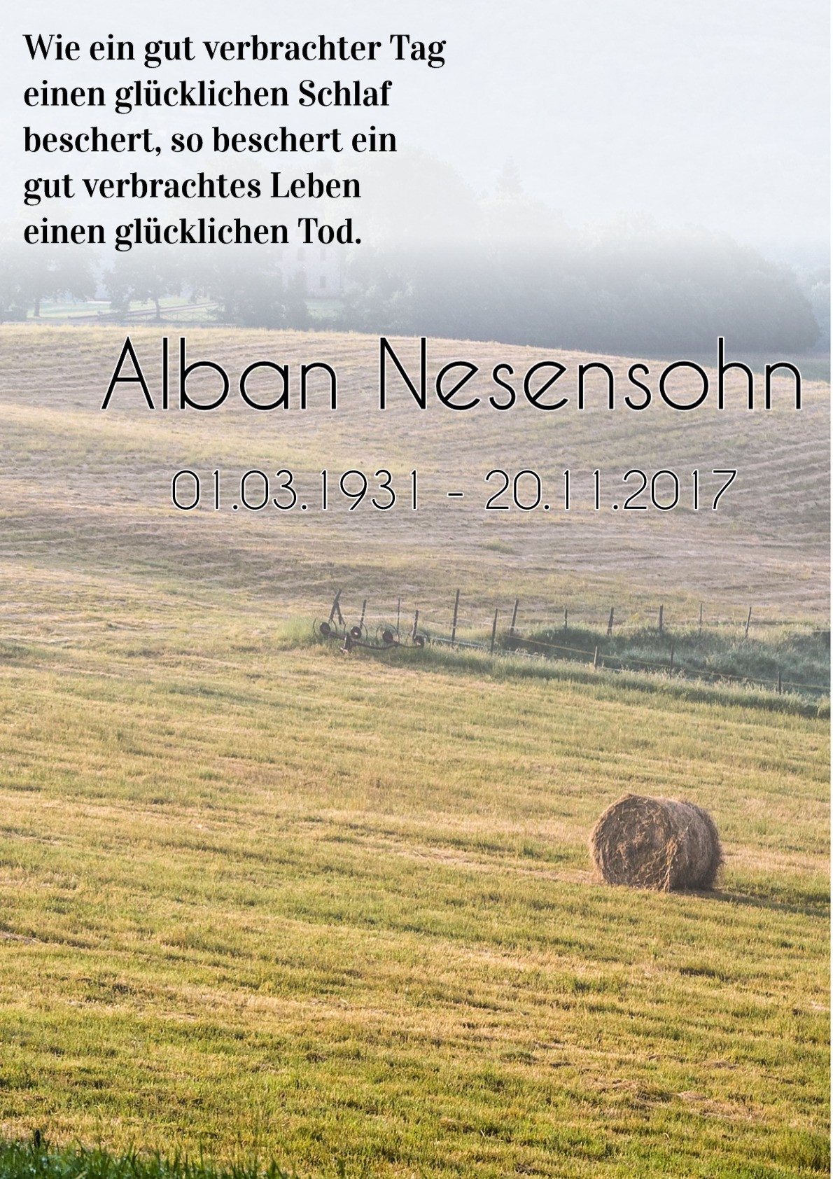 Traueranzeige von Alban Nesensohn