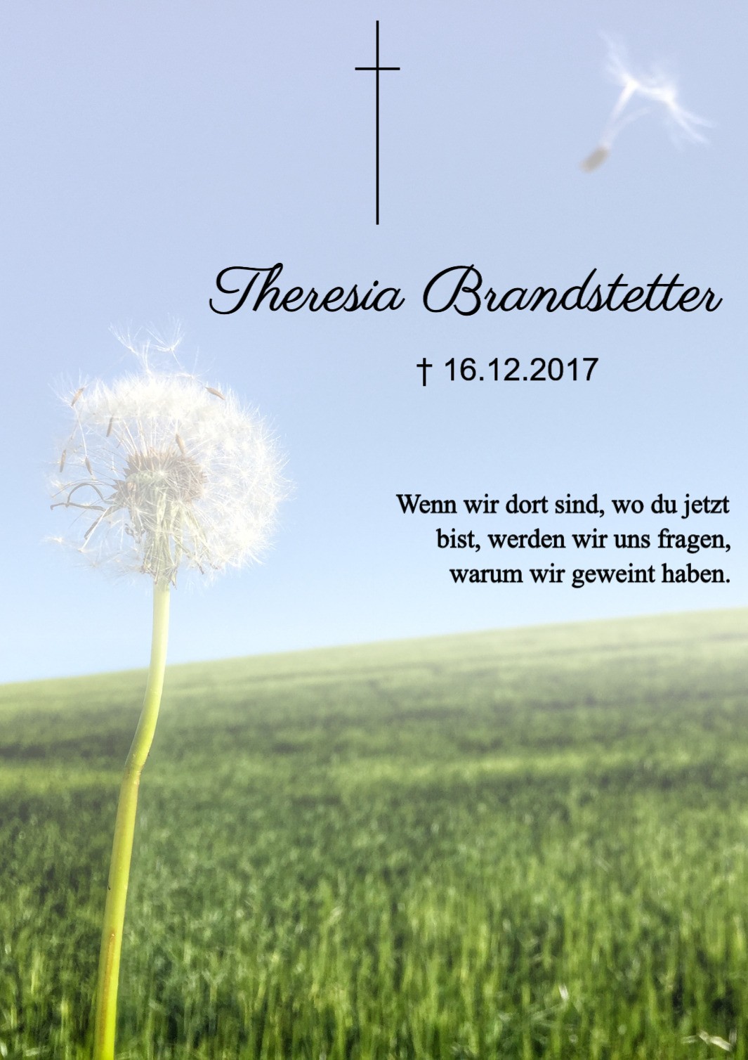 Traueranzeige von Theresia Brandstetter