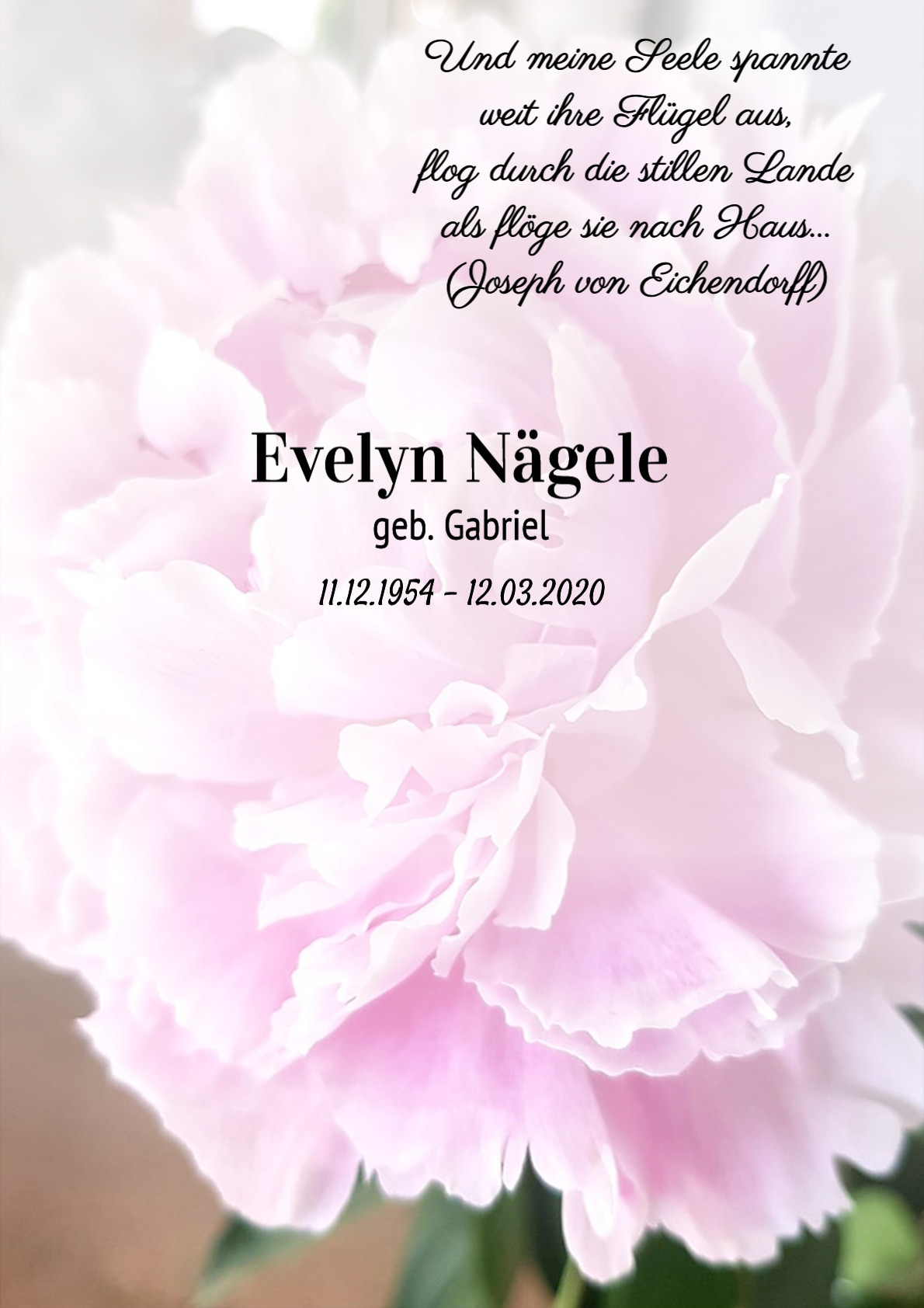Traueranzeige von Evelyn Nägele