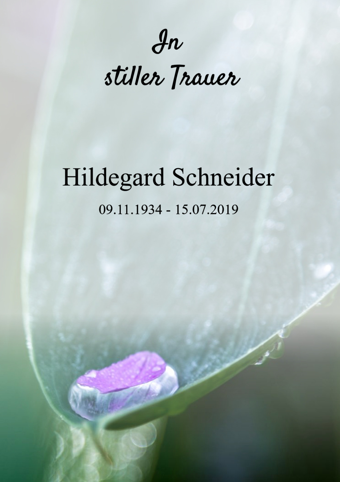 Traueranzeige von Hildegard Schneider