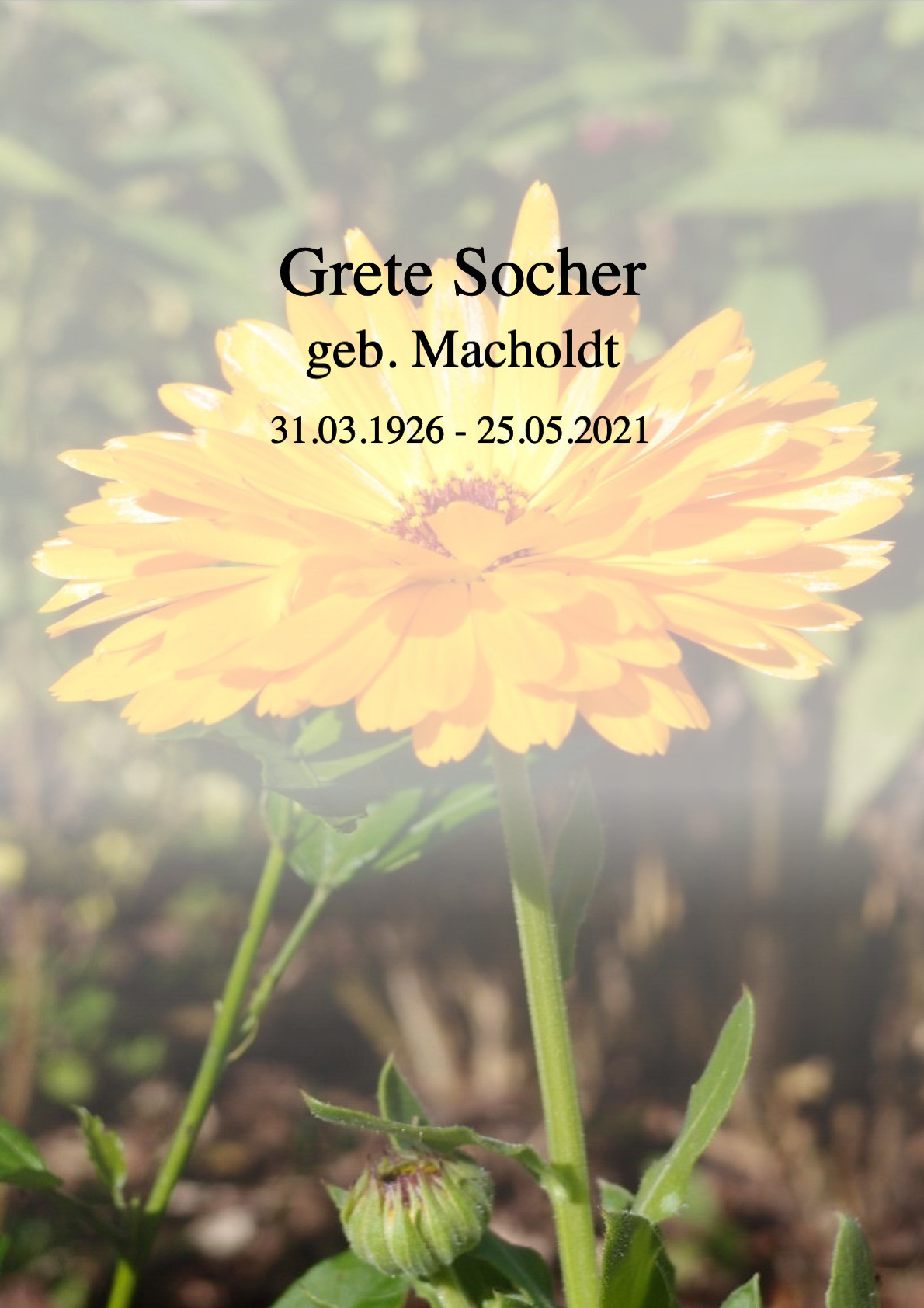 Traueranzeige von Grete Socher