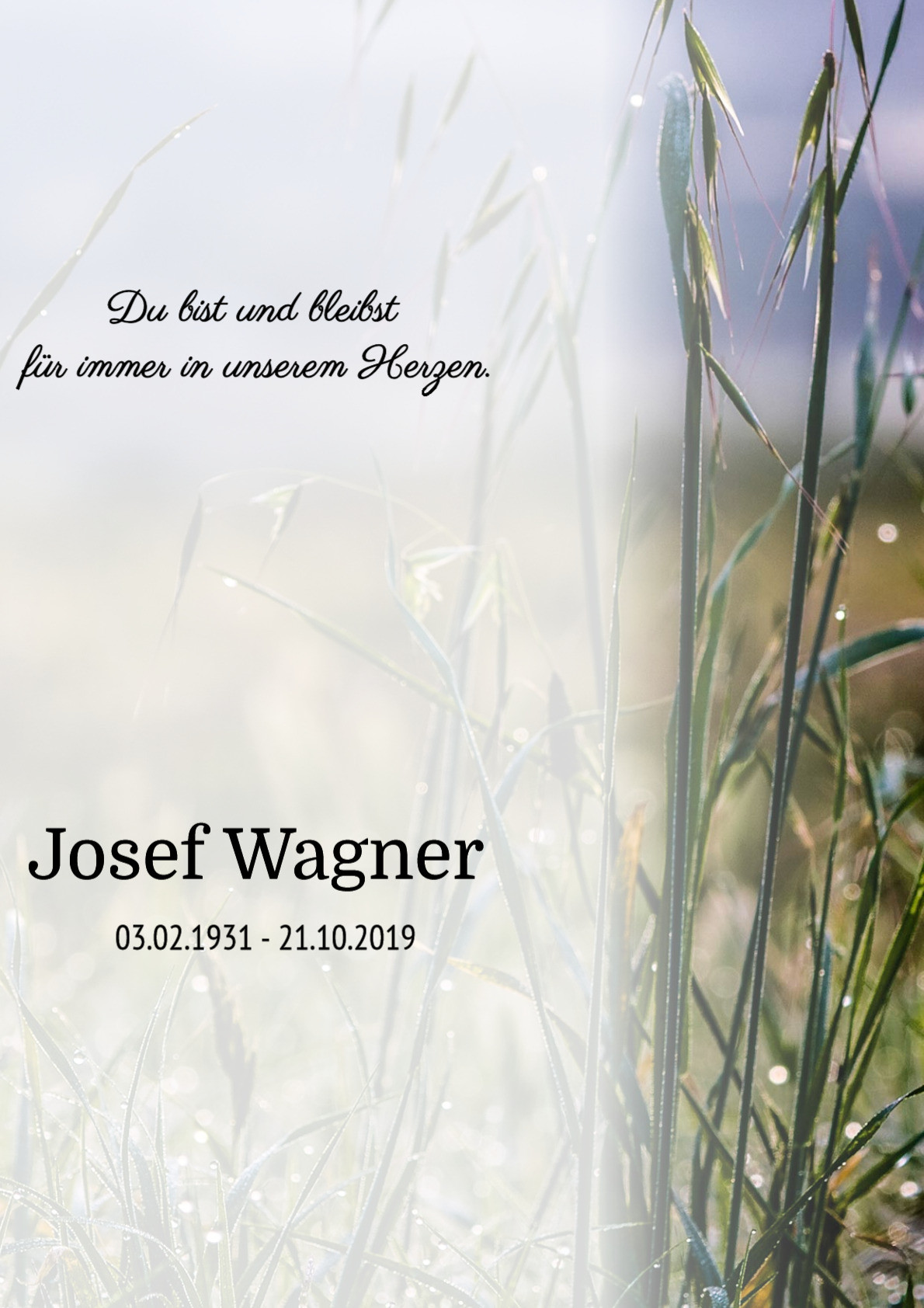 Traueranzeige von Josef Wagner