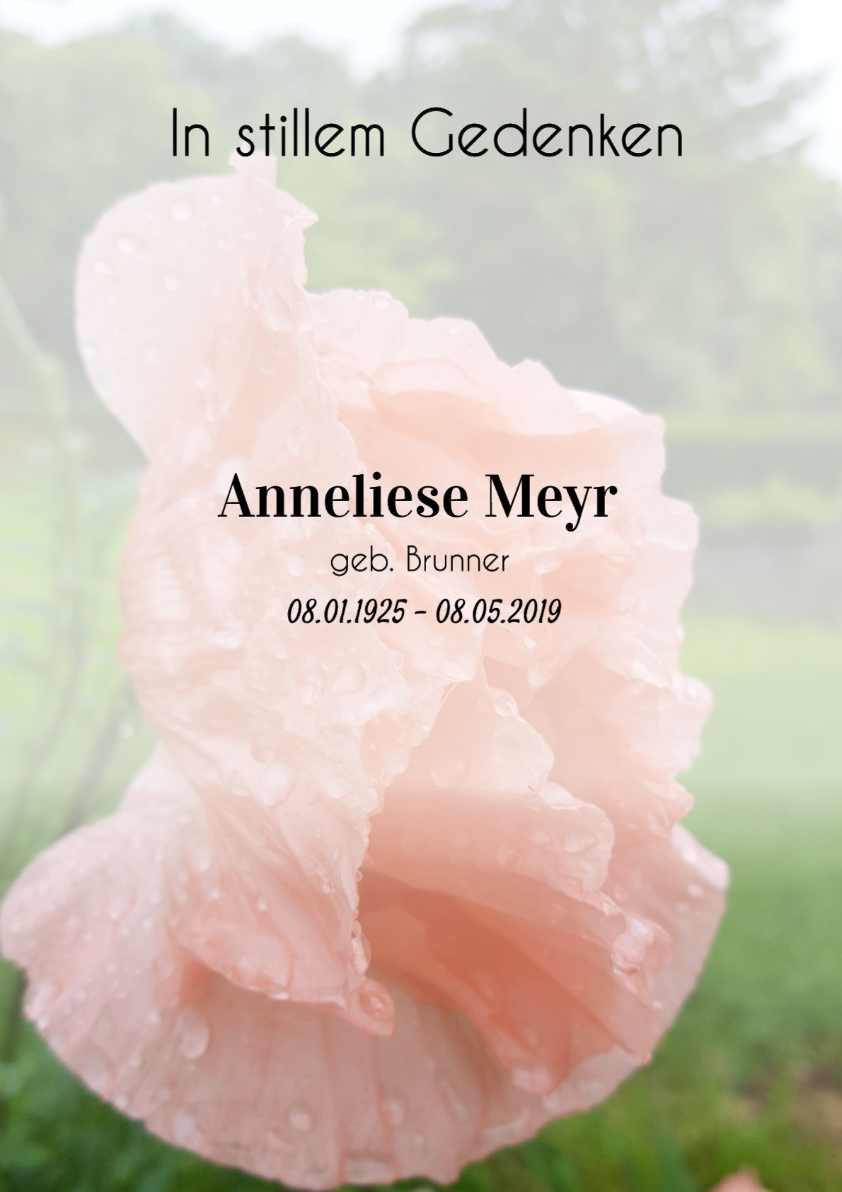 Traueranzeige von Anneliese Meyr