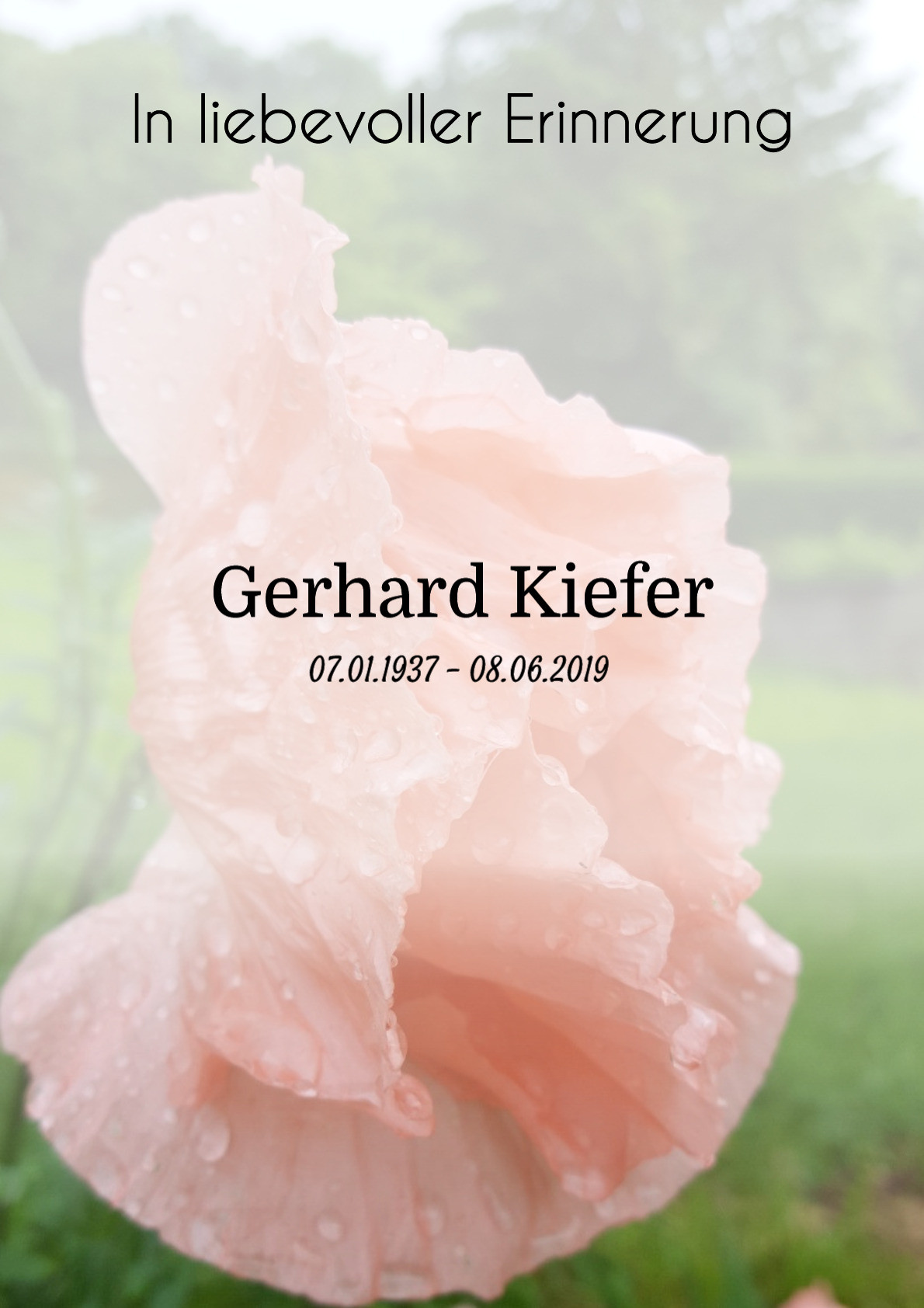 Traueranzeige von Gerhard Kiefer