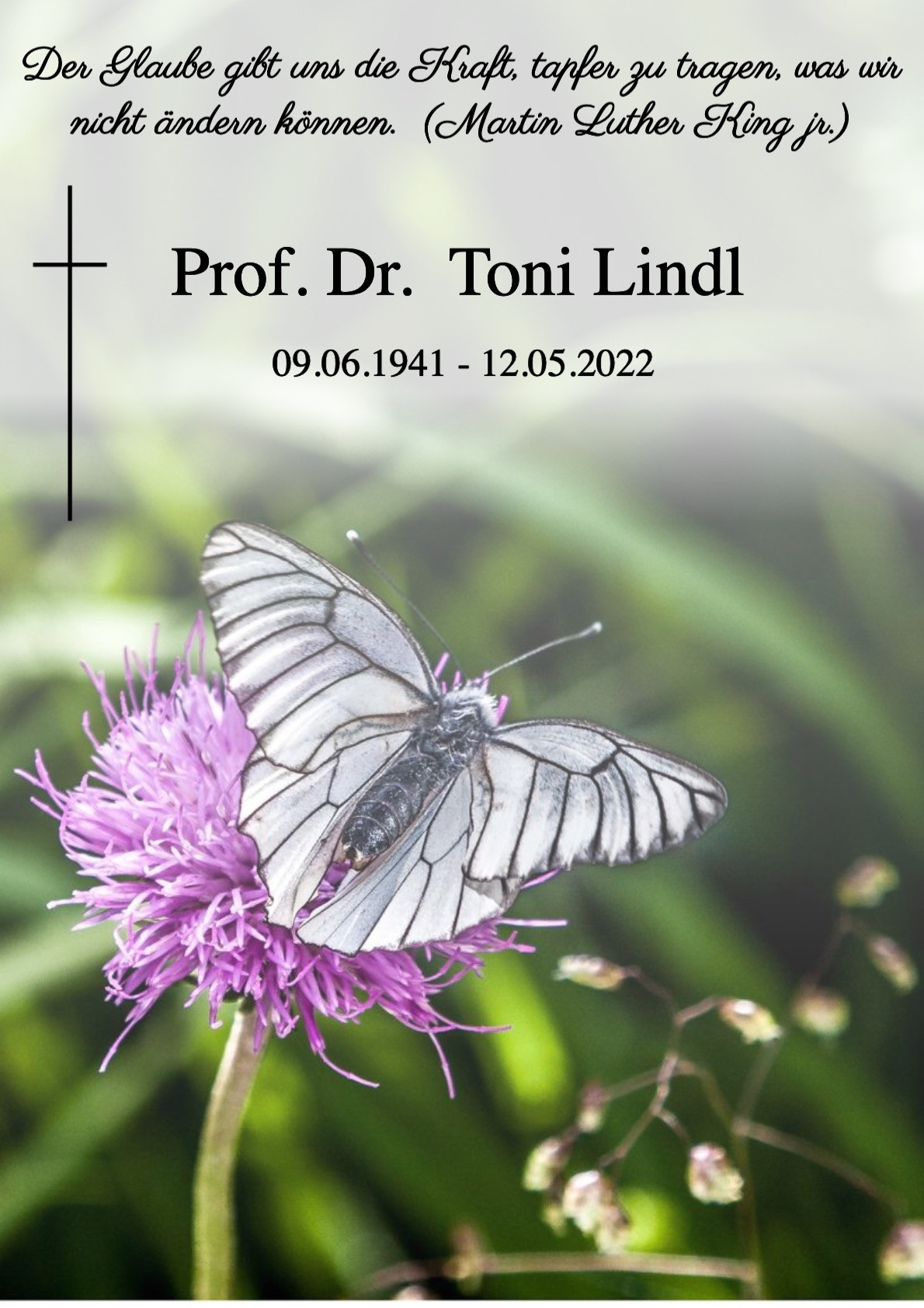 Traueranzeige von Prof. Dr. Toni Lindl