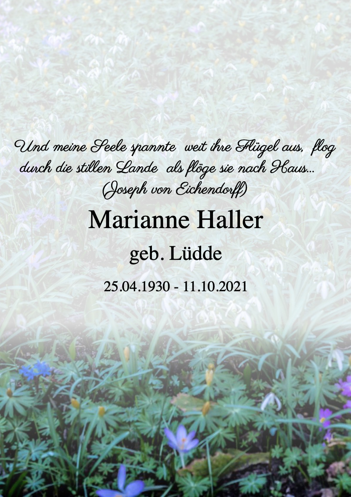 Traueranzeige von Marianne Haller