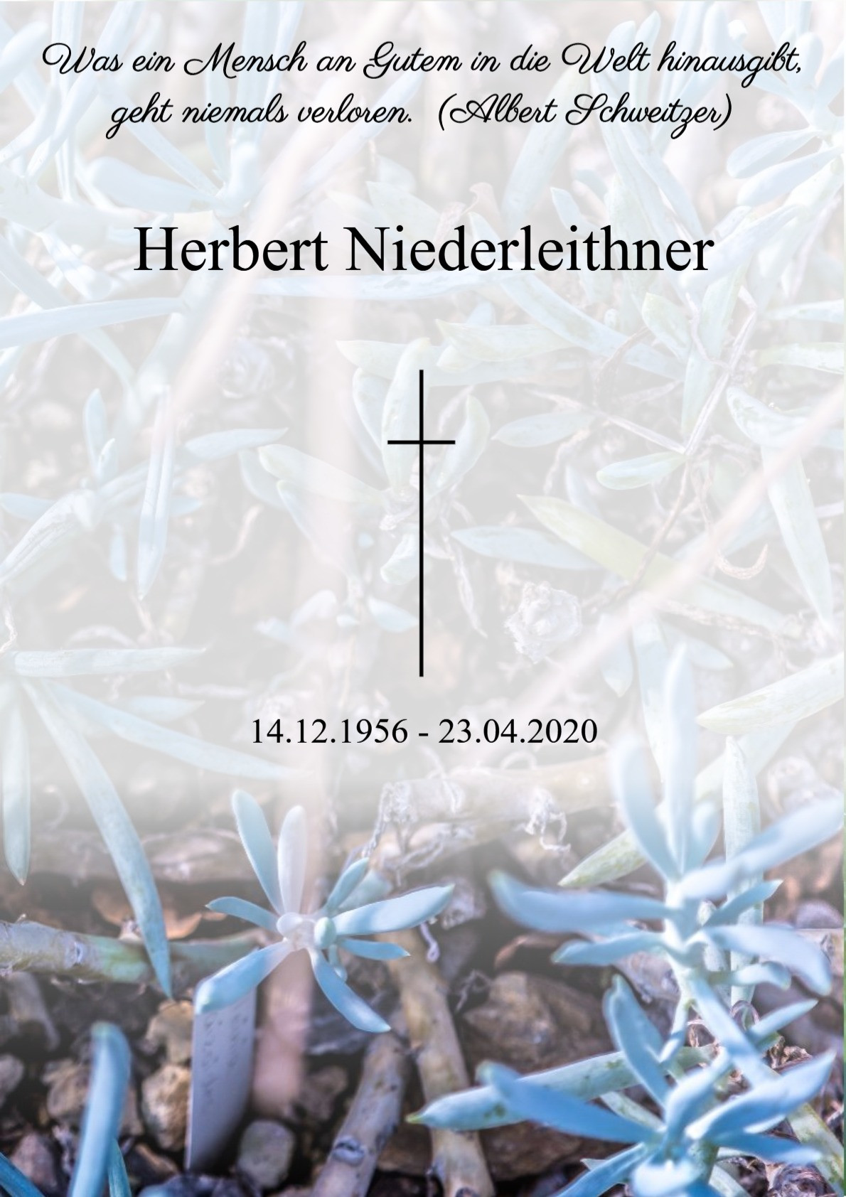 Traueranzeige von Herbert Niederleithner