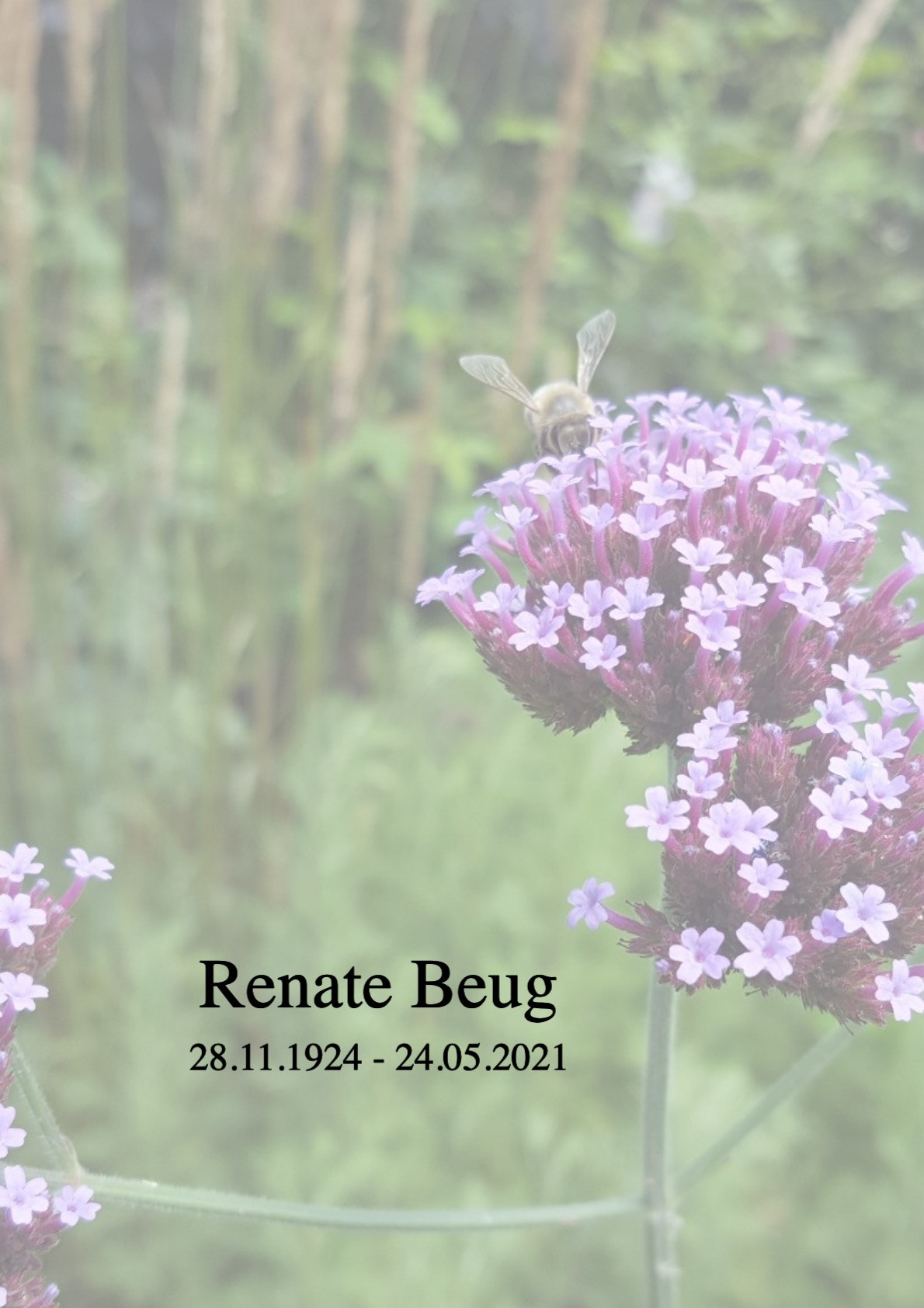 Traueranzeige von Renate Beug