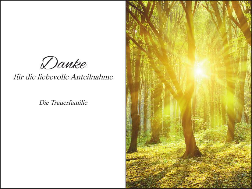 Öffentliches Album