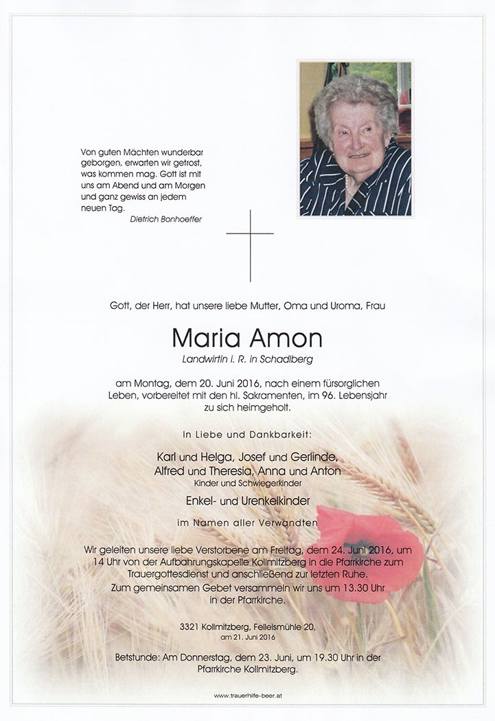 Traueranzeige von Maria Amon