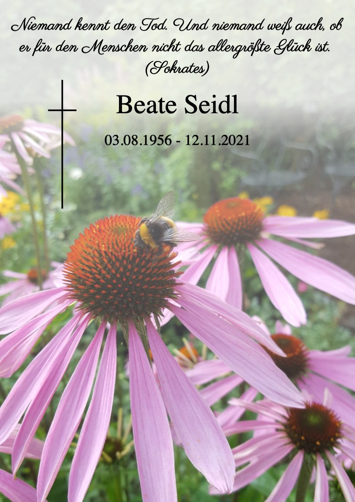 Traueranzeige von Beate Seidl