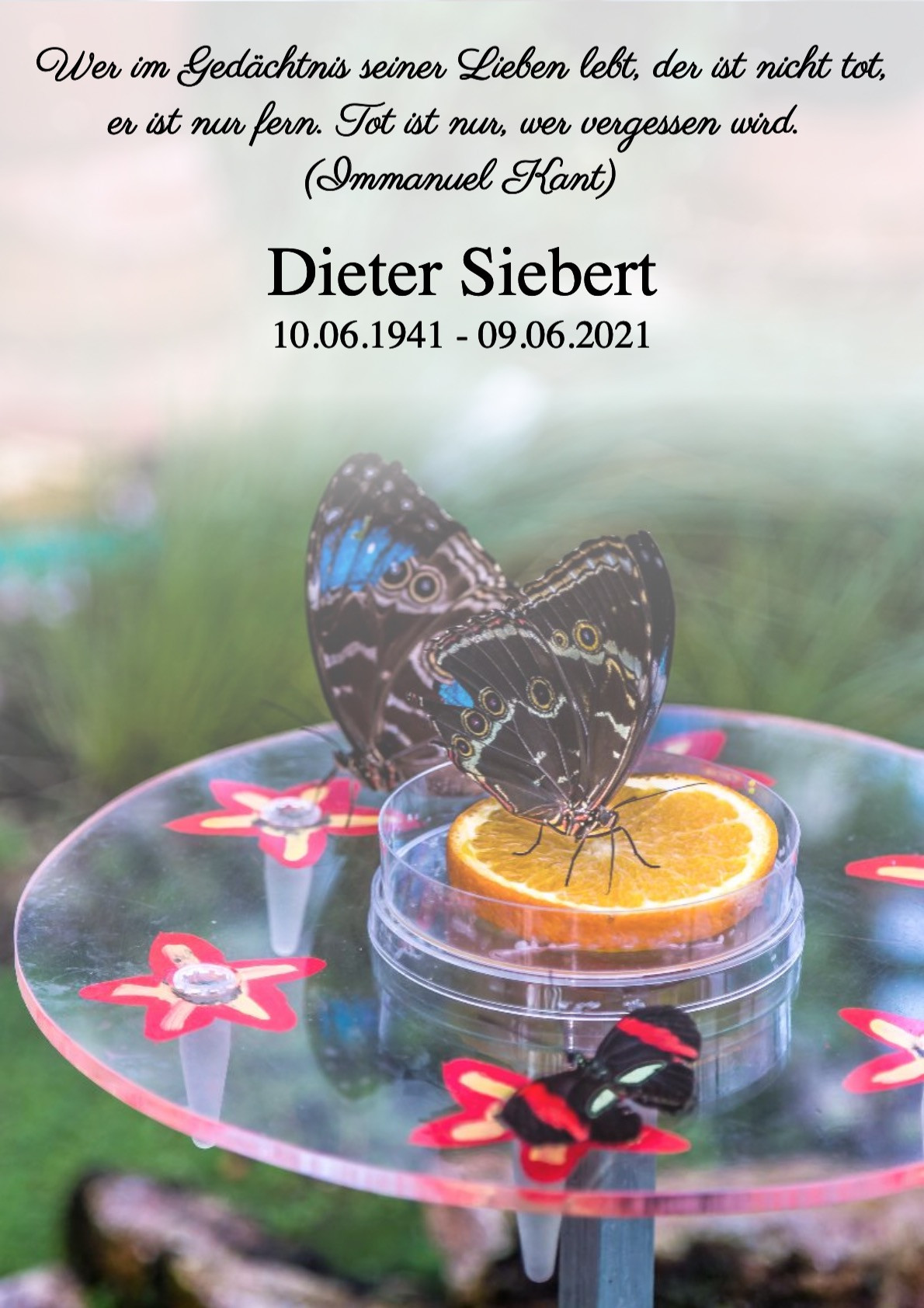 Traueranzeige von Dieter Siebert