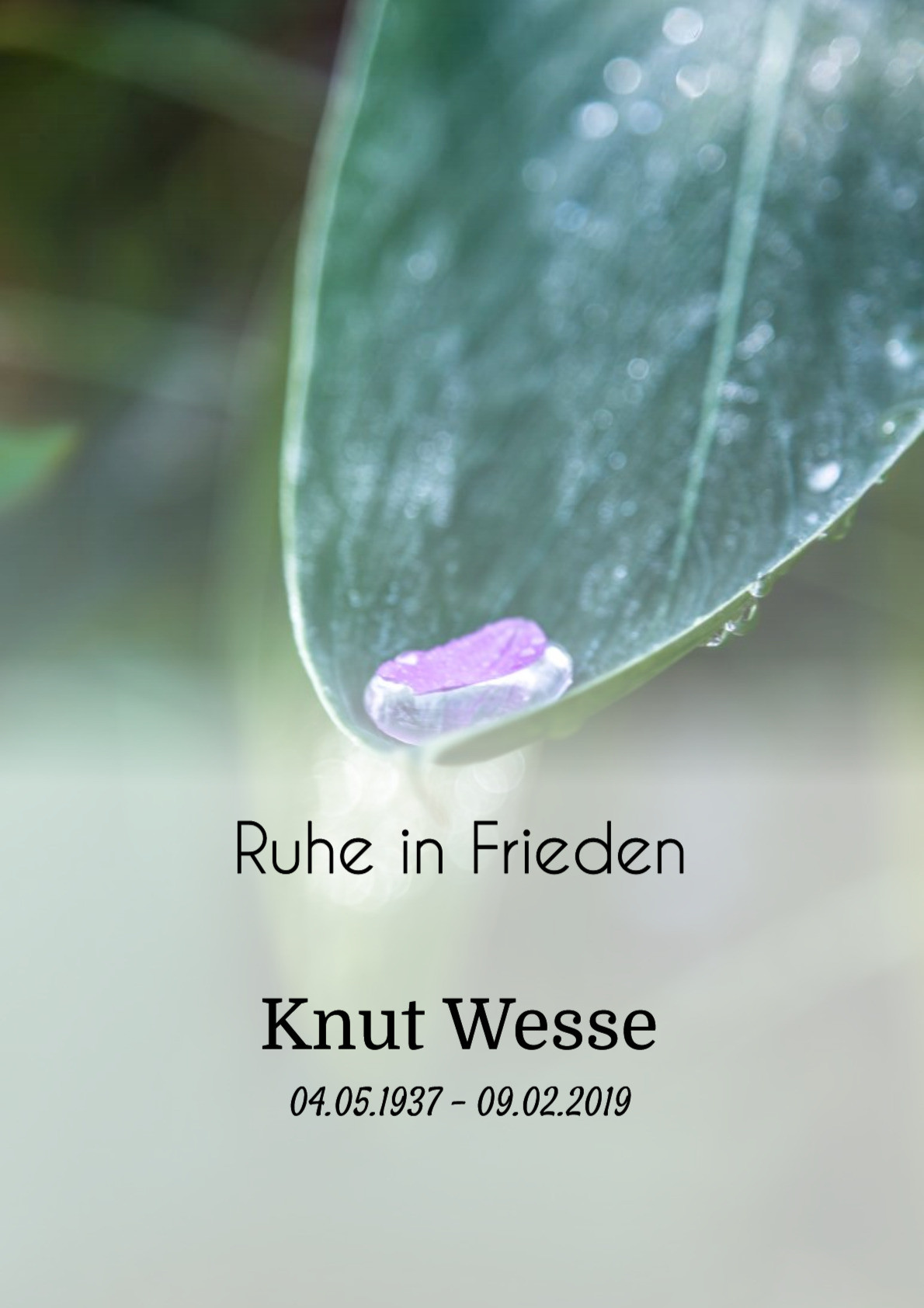 Traueranzeige von Knut Wesse