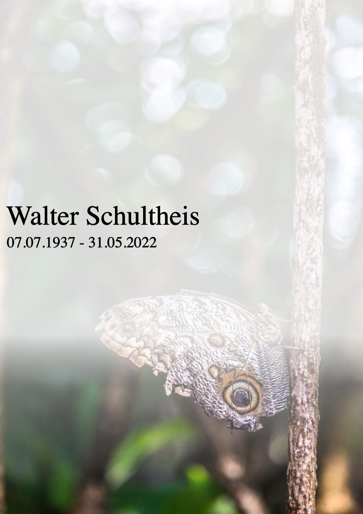 Traueranzeige von Walter Schultheis