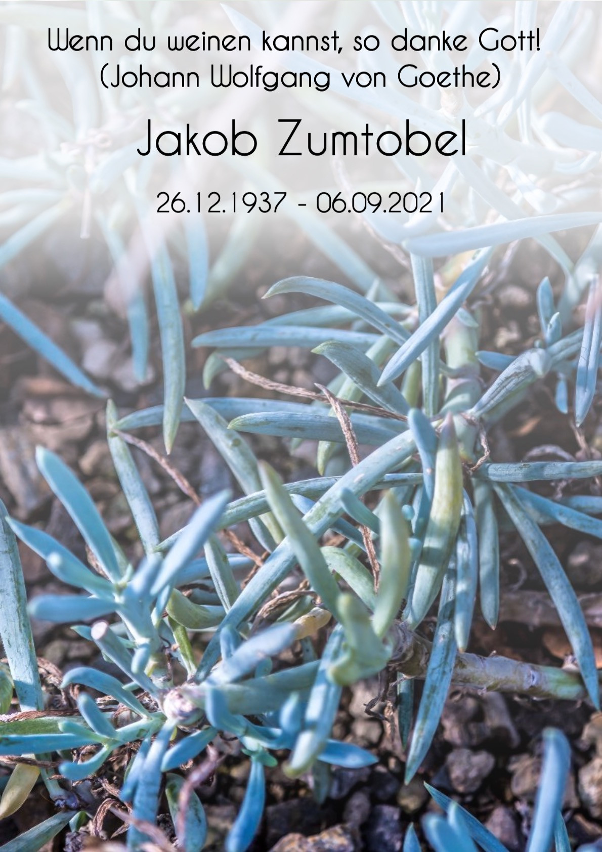 Traueranzeige von Jakob Zumtobel