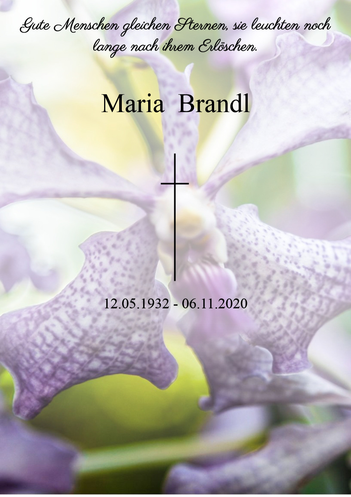 Traueranzeige von Maria Brandl