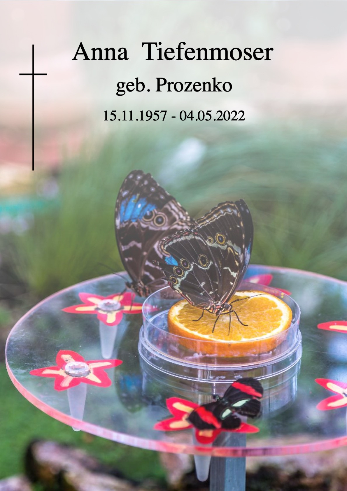 Traueranzeige von Anna Tiefenmoser
