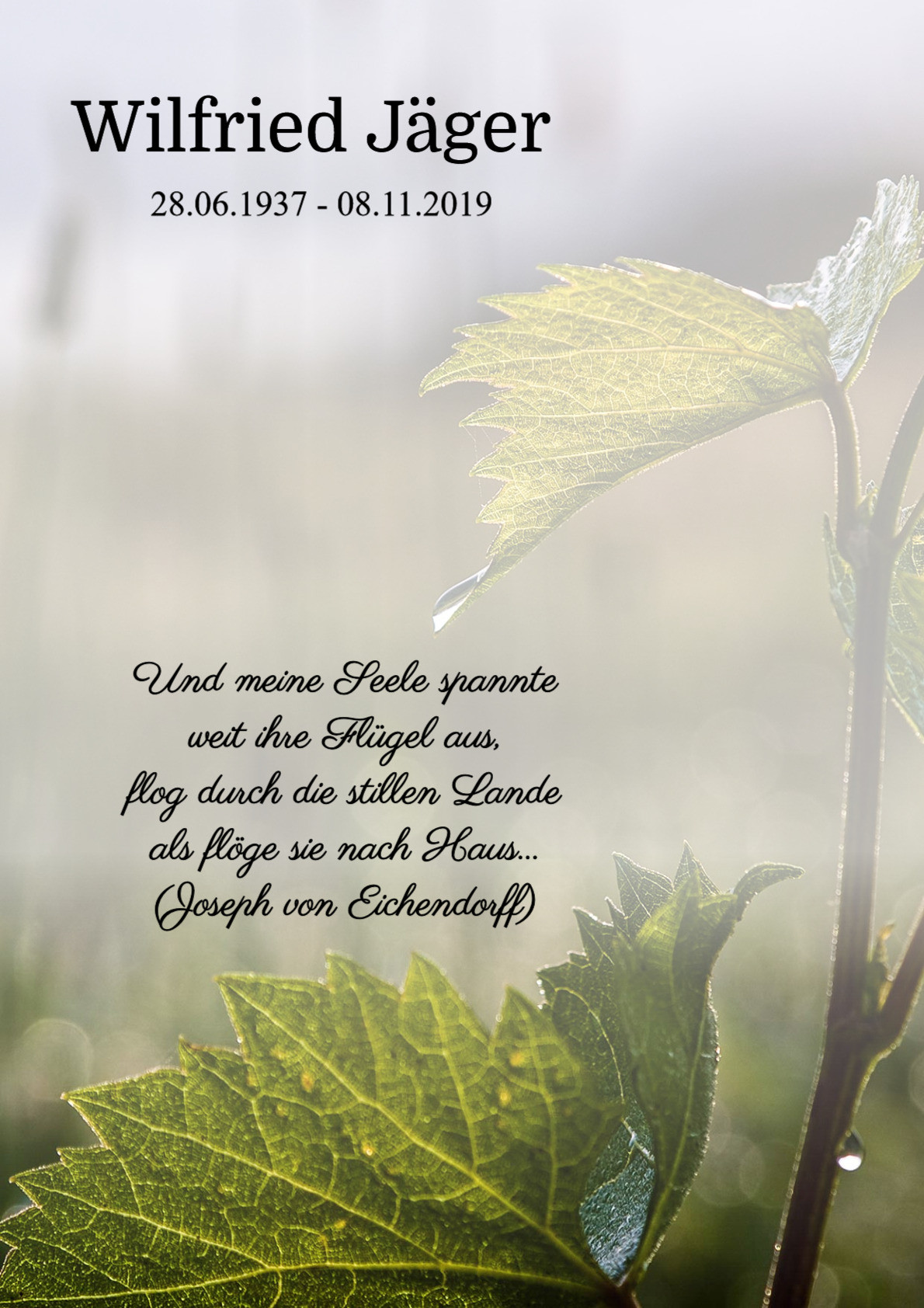 Traueranzeige von Wilfried Jäger