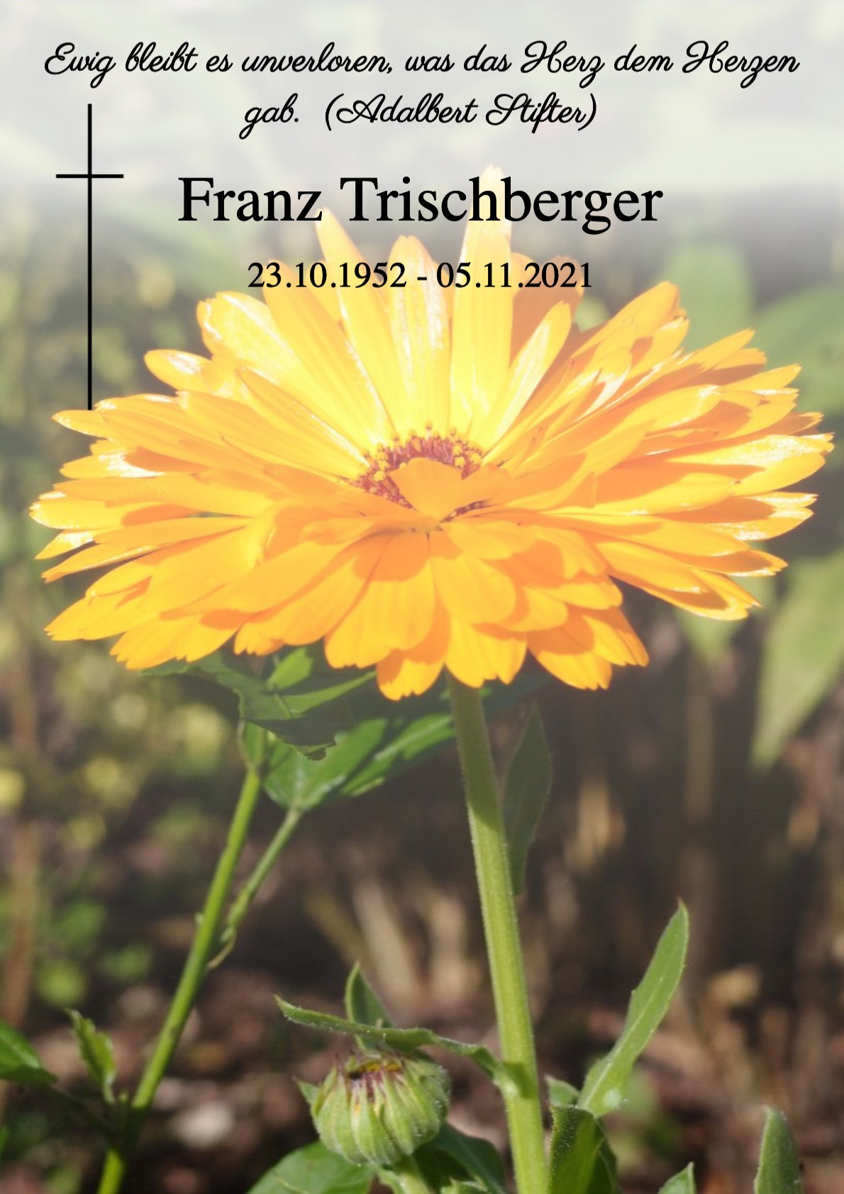 Traueranzeige von Franz Trischberger