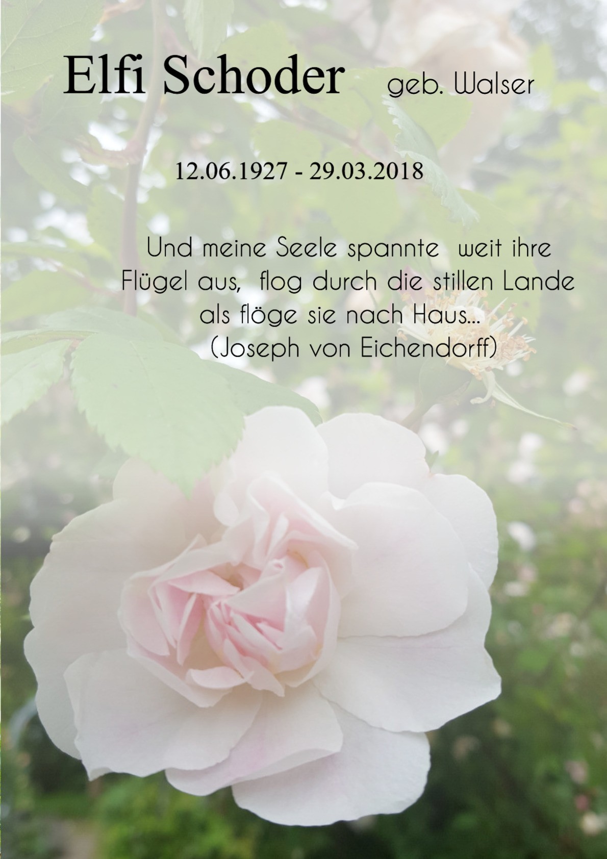 Traueranzeige von Elfi Schoder