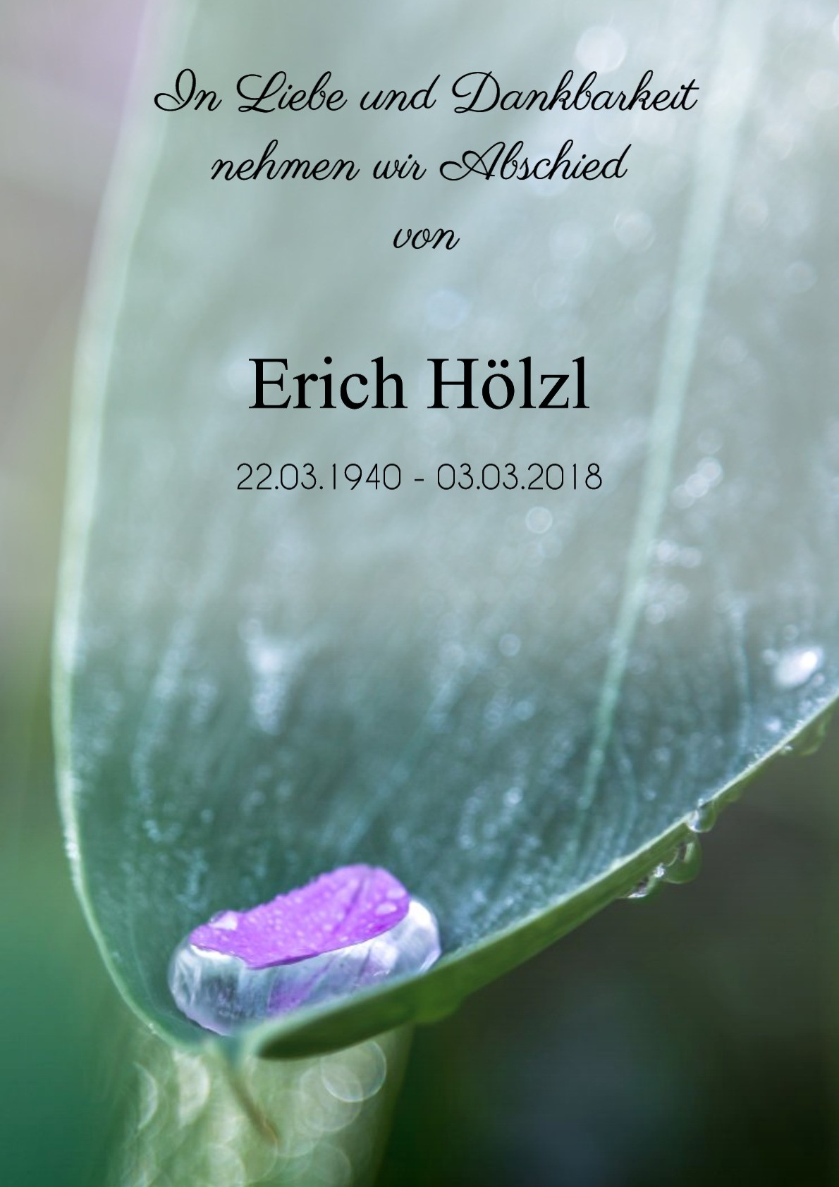 Traueranzeige von Erich Hölzl