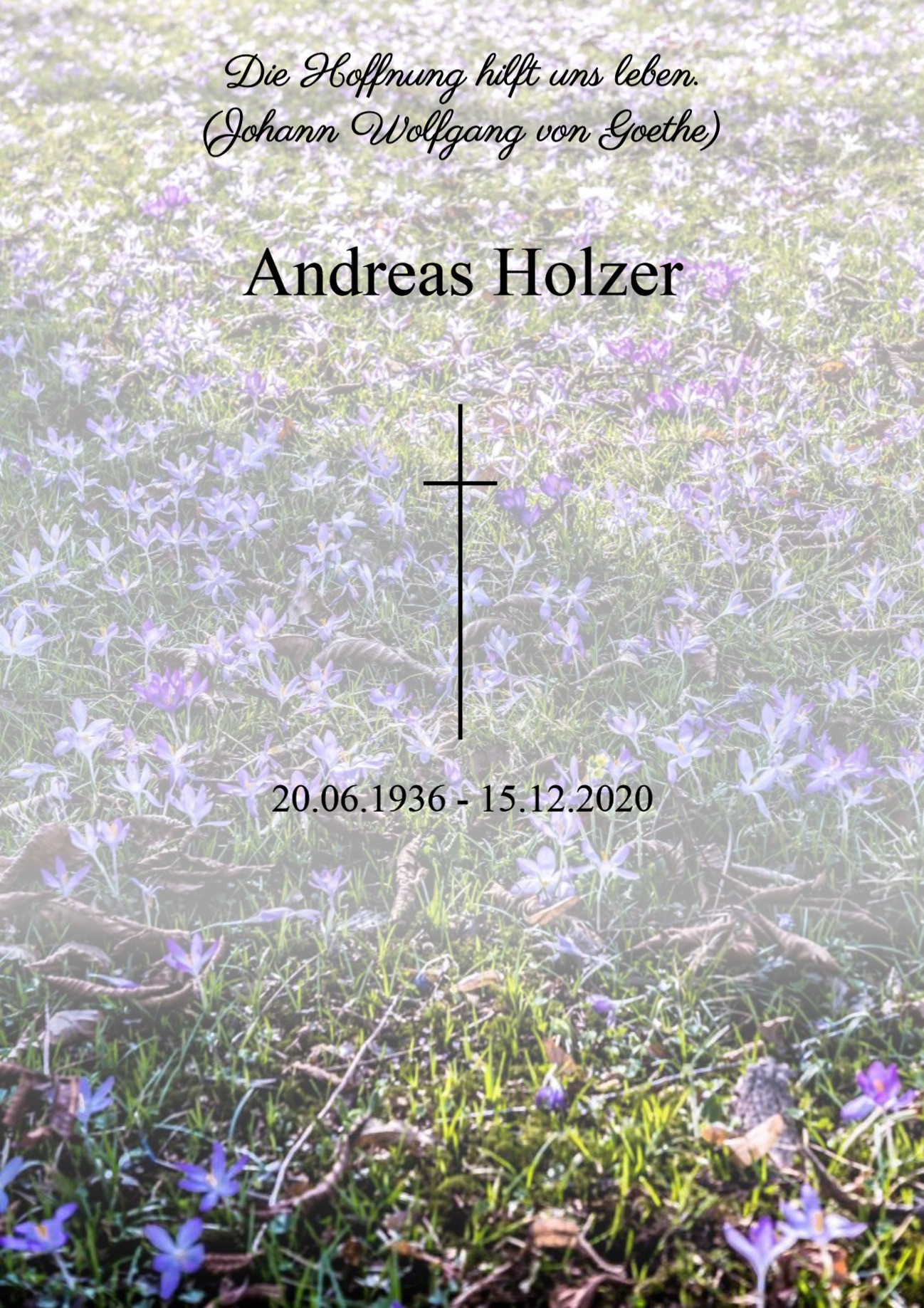 Traueranzeige von Andreas Holzer