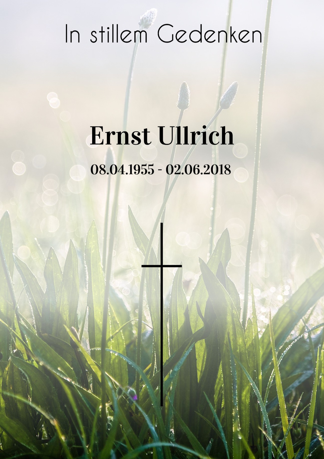 Traueranzeige von Ernst Ullrich