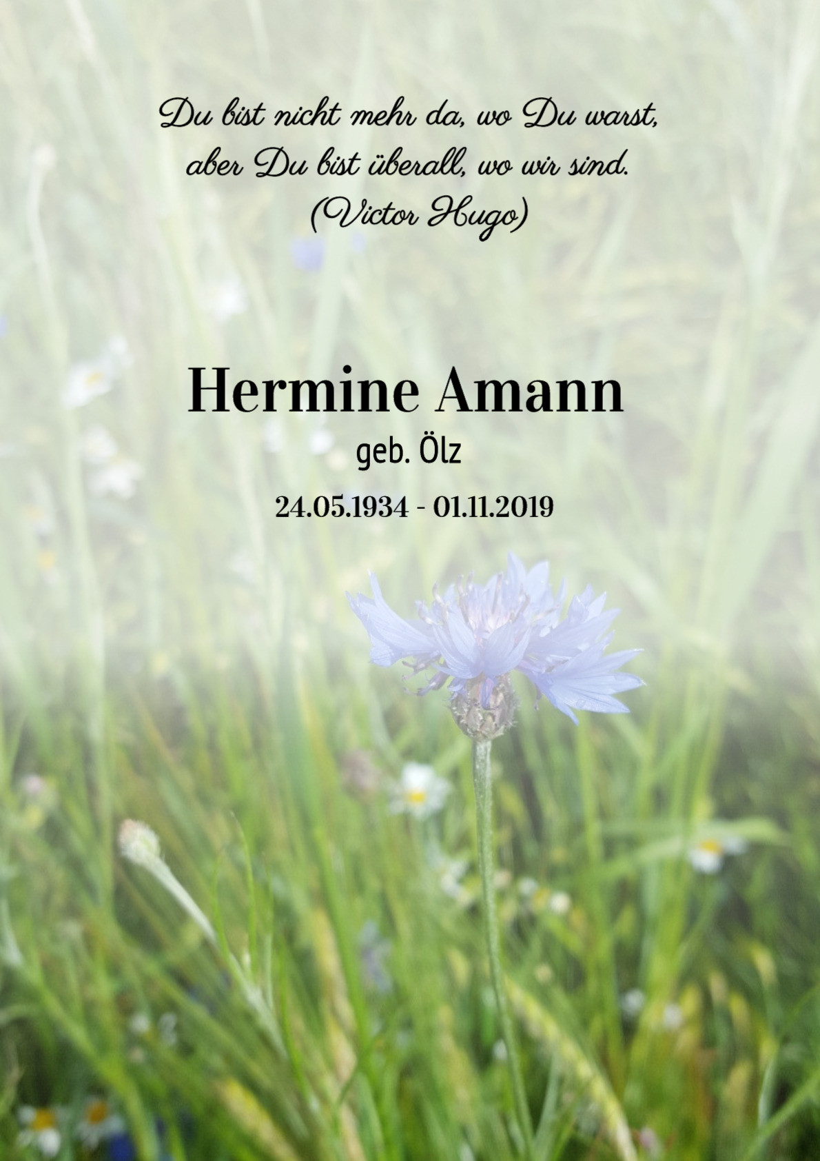 Traueranzeige von Hermine Amann