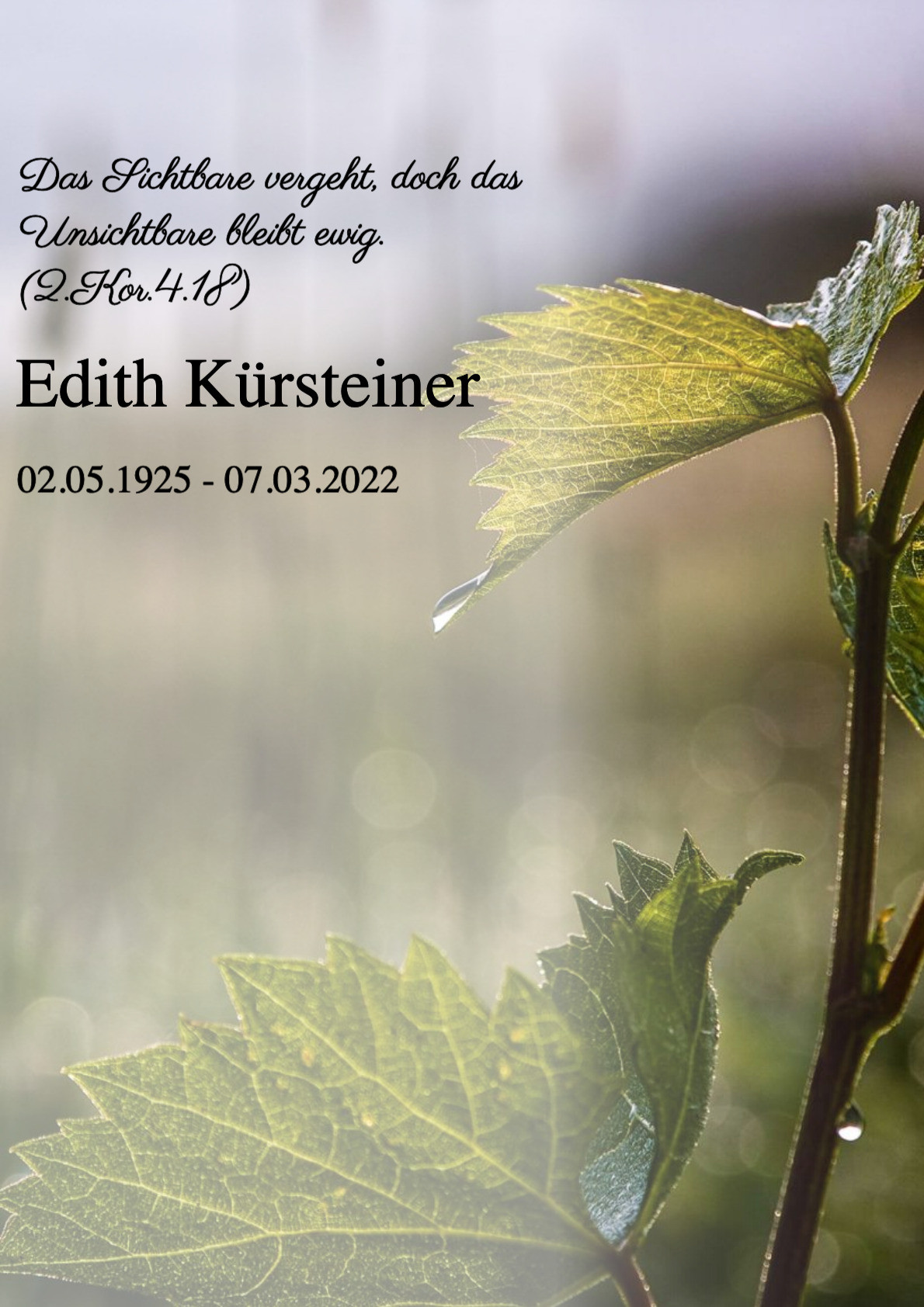 Traueranzeige von Edith Kürsteiner