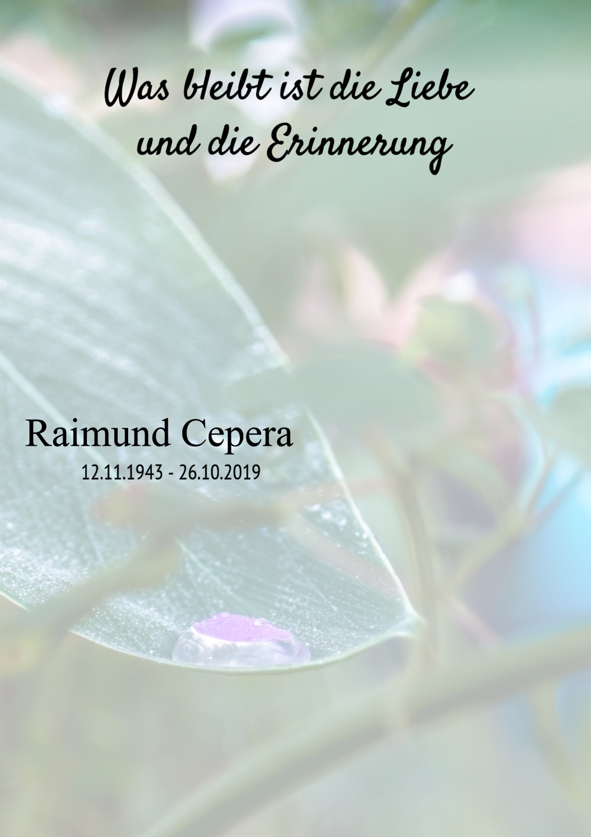 Traueranzeige von Raimund Cepera