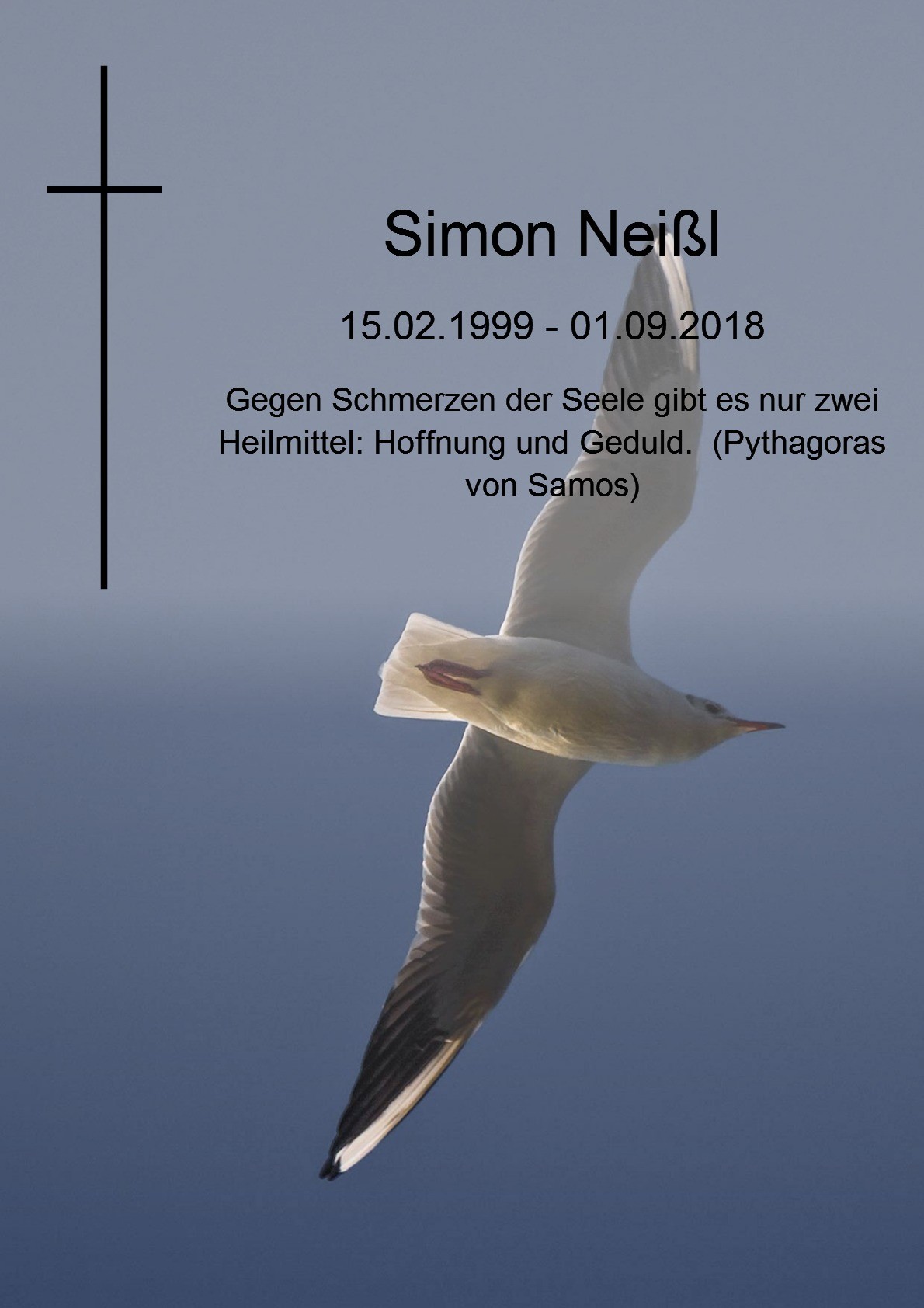 Traueranzeige von Simon Neißl