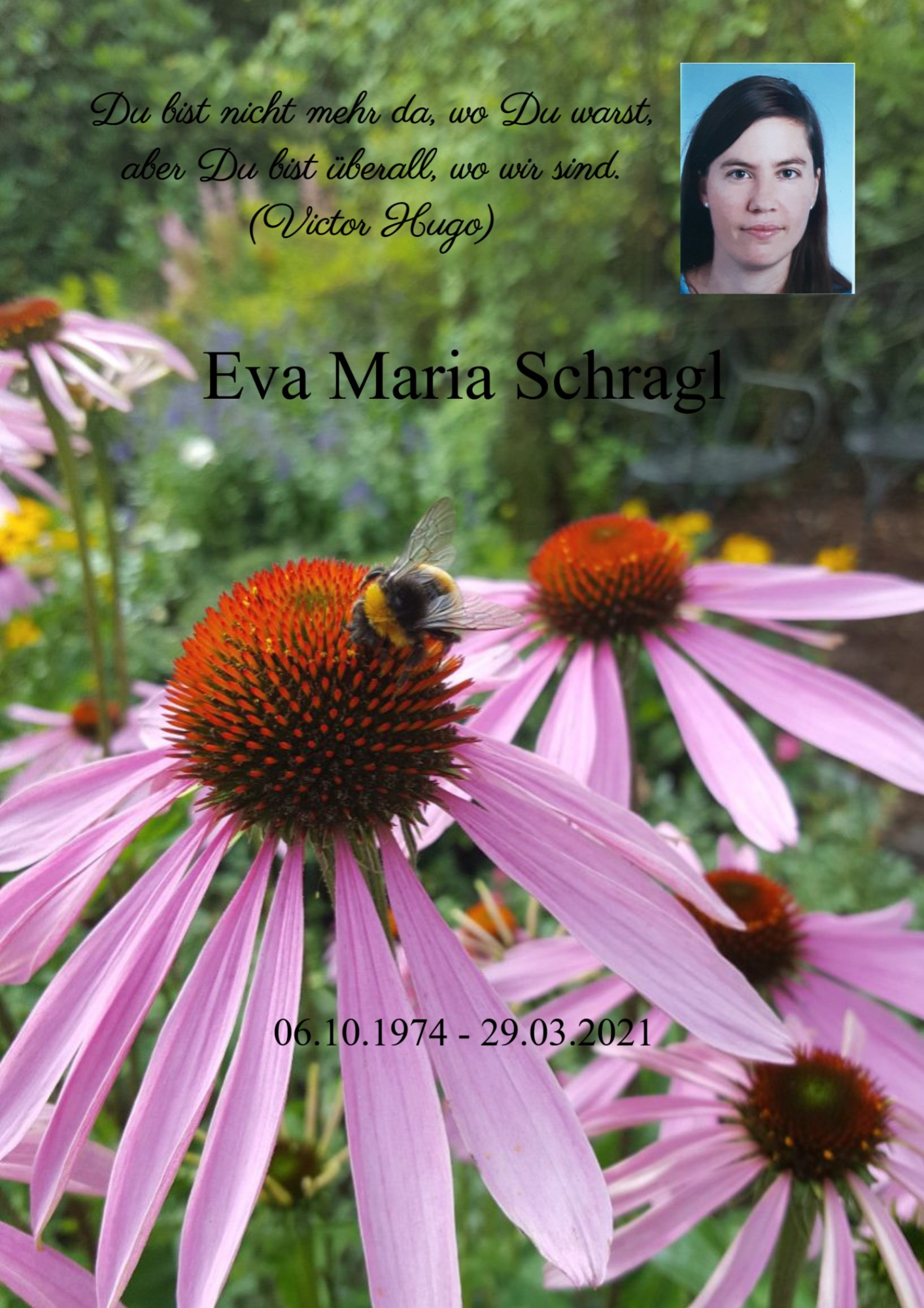 Traueranzeige von Dipl.-Ing. Eva Maria Schragl