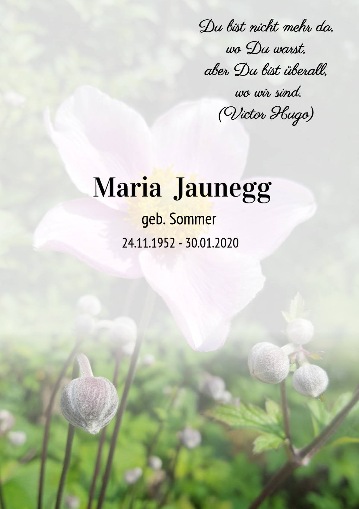 Traueranzeige von Maria Jaunegg