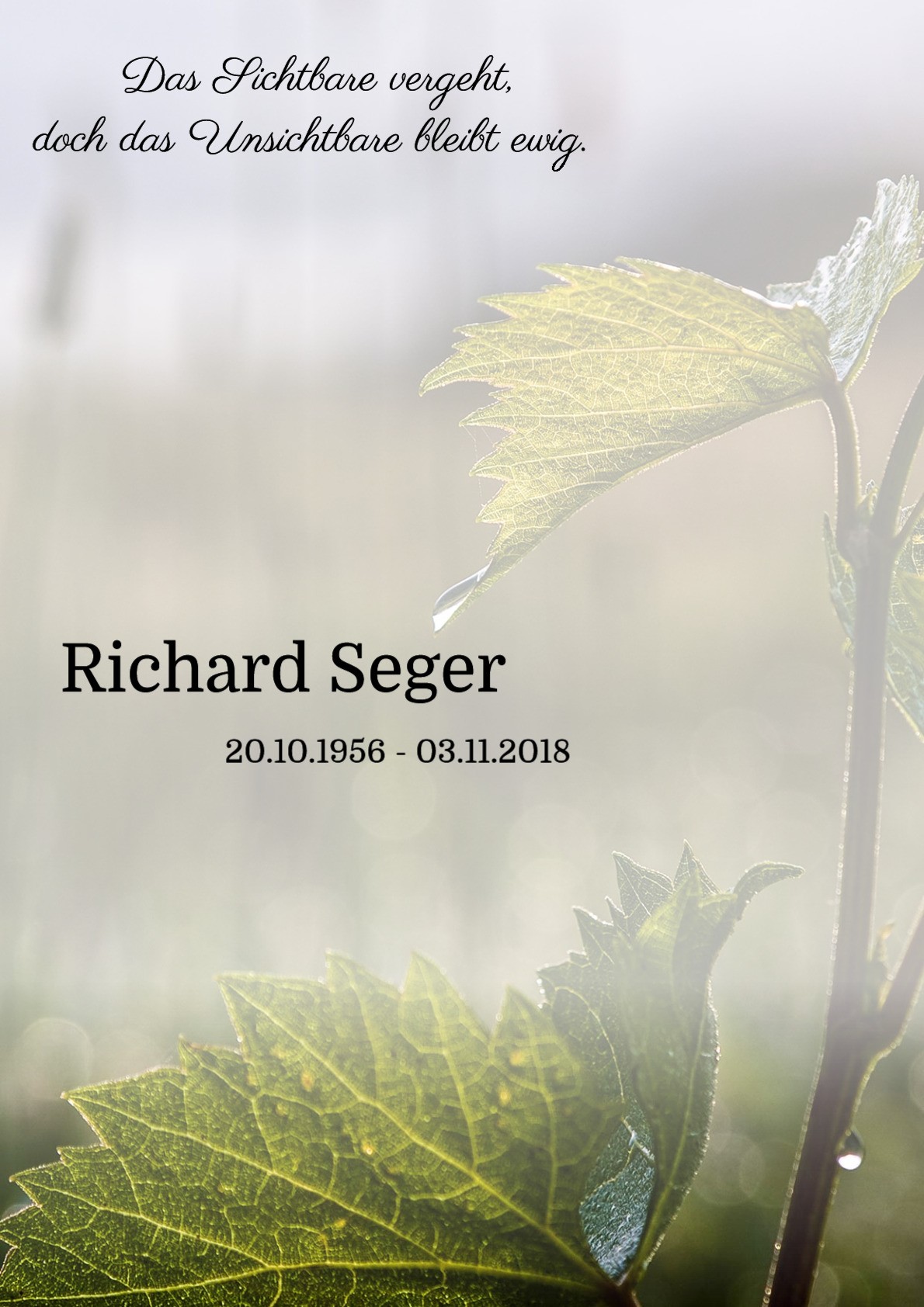 Traueranzeige von Richard Seger