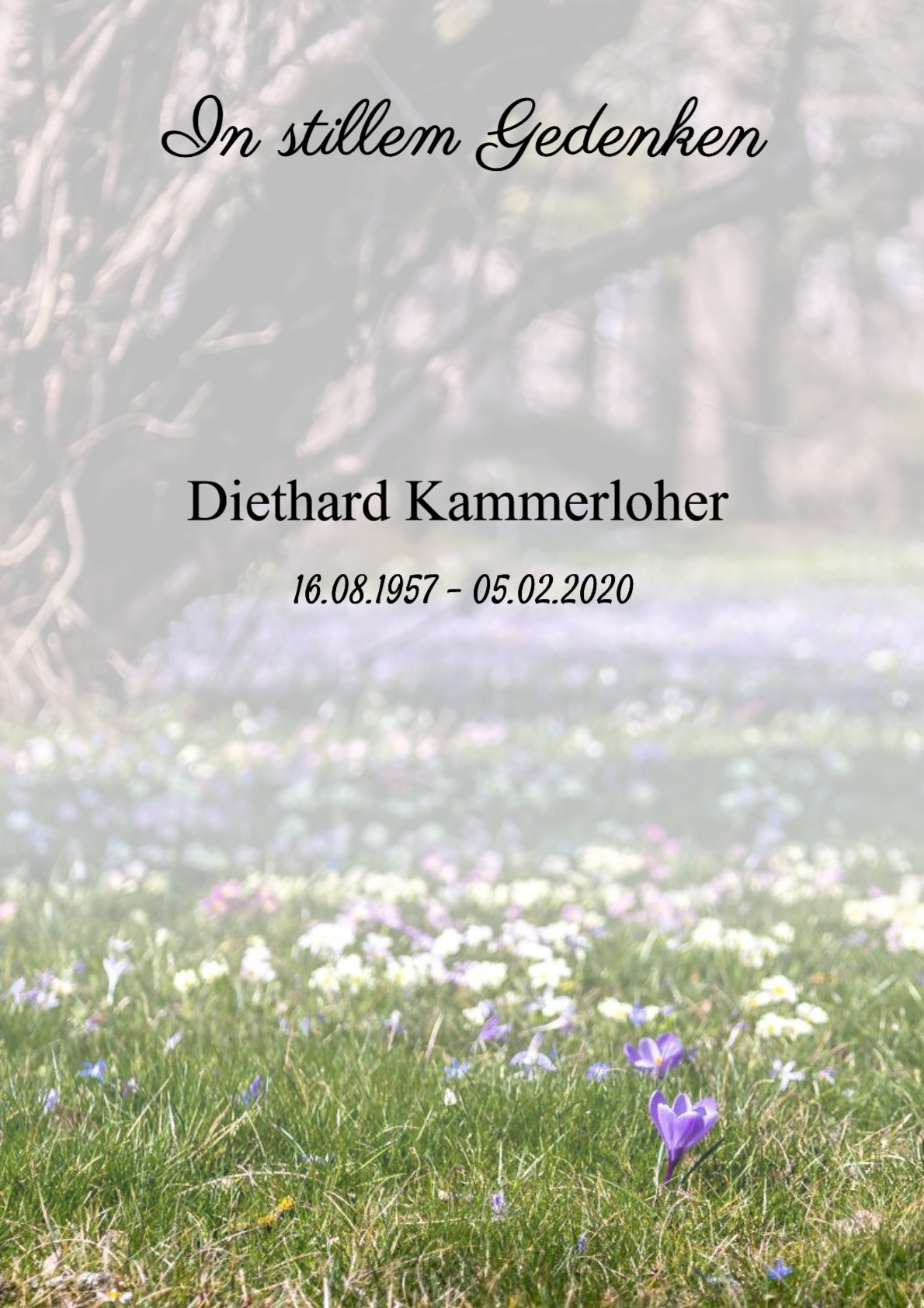 Traueranzeige von Diethard Kammerloher