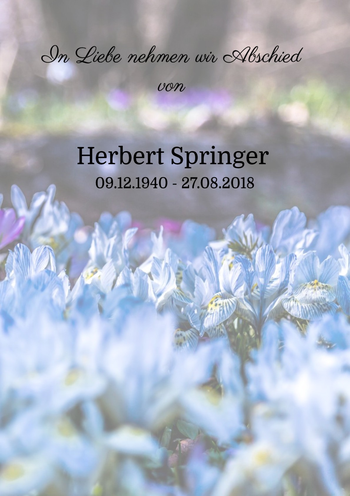 Traueranzeige von Herbert Springer