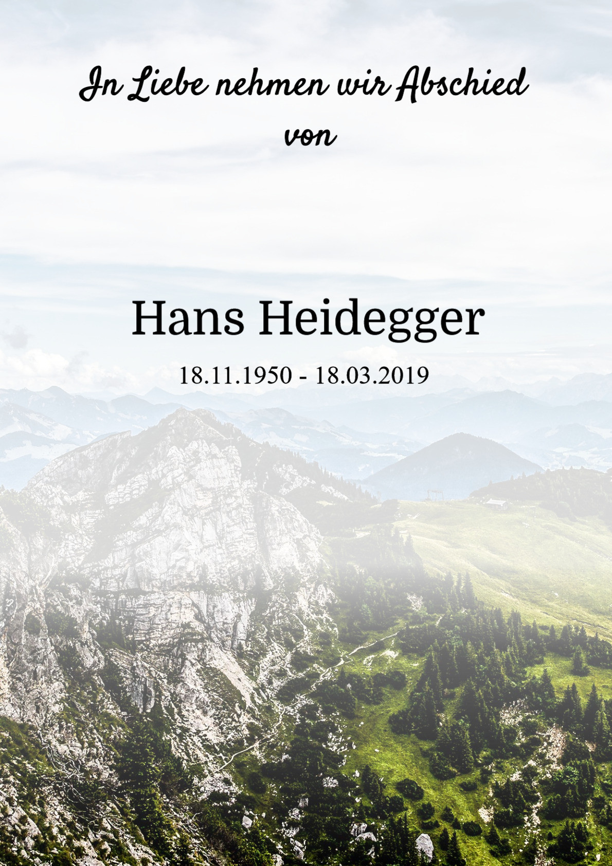 Traueranzeige von Hans Heidegger