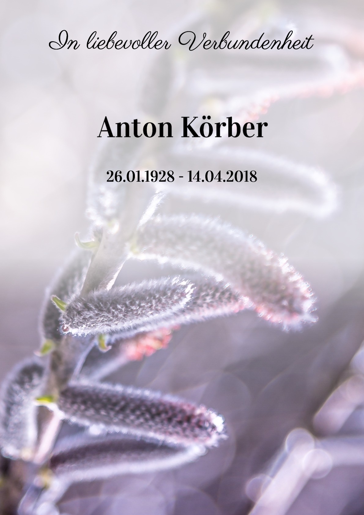 Traueranzeige von Anton Körber