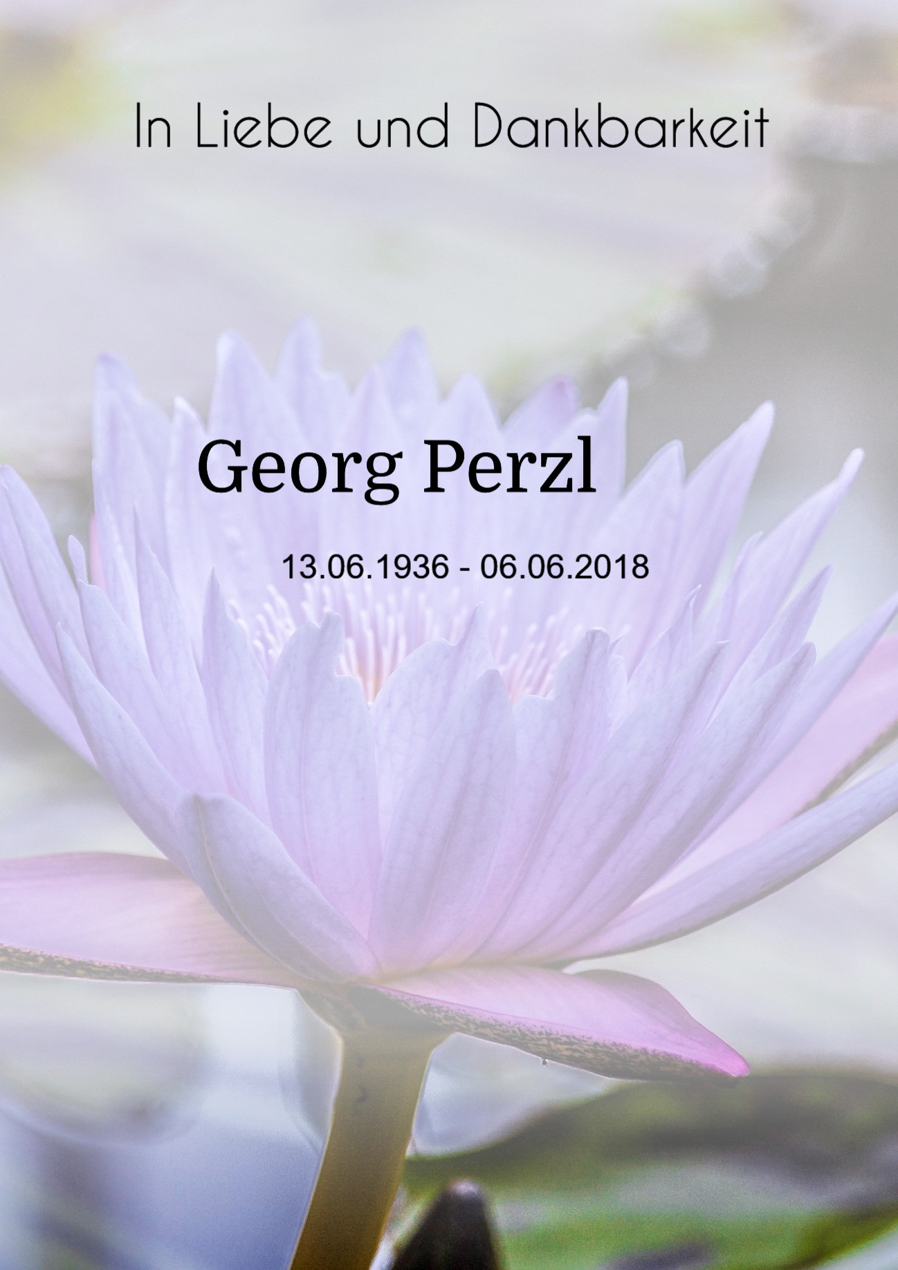 Traueranzeige von Georg Perzl