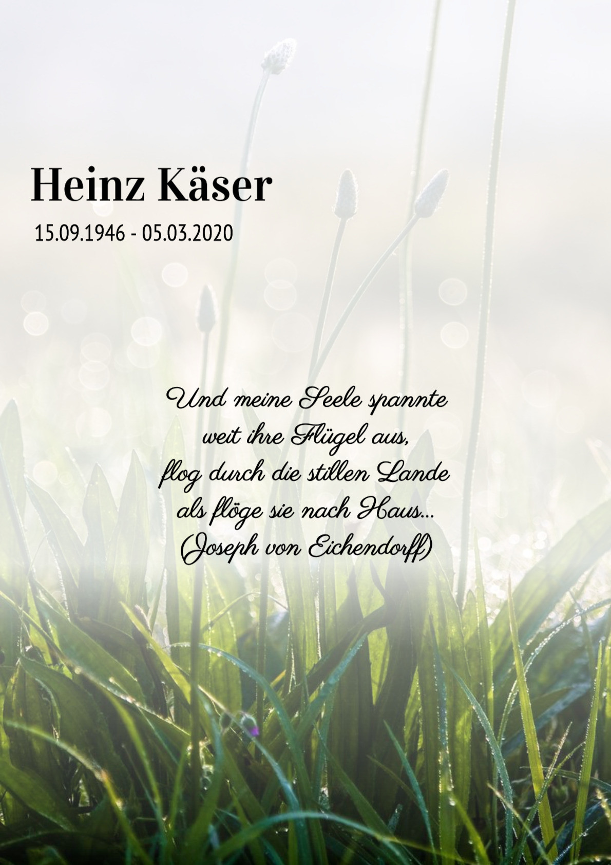 Traueranzeige von Heinz Käser