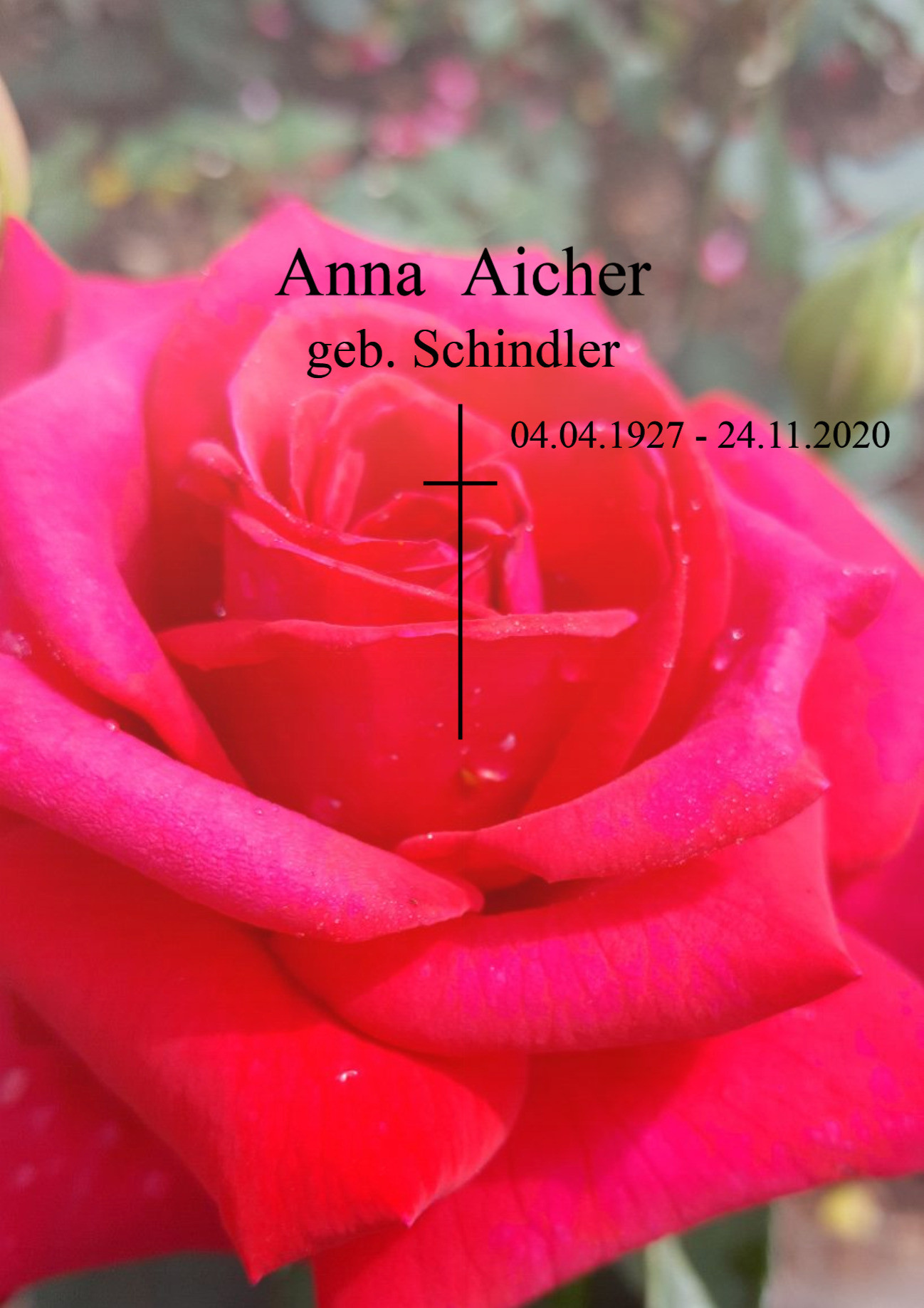 Traueranzeige von Anna Aicher