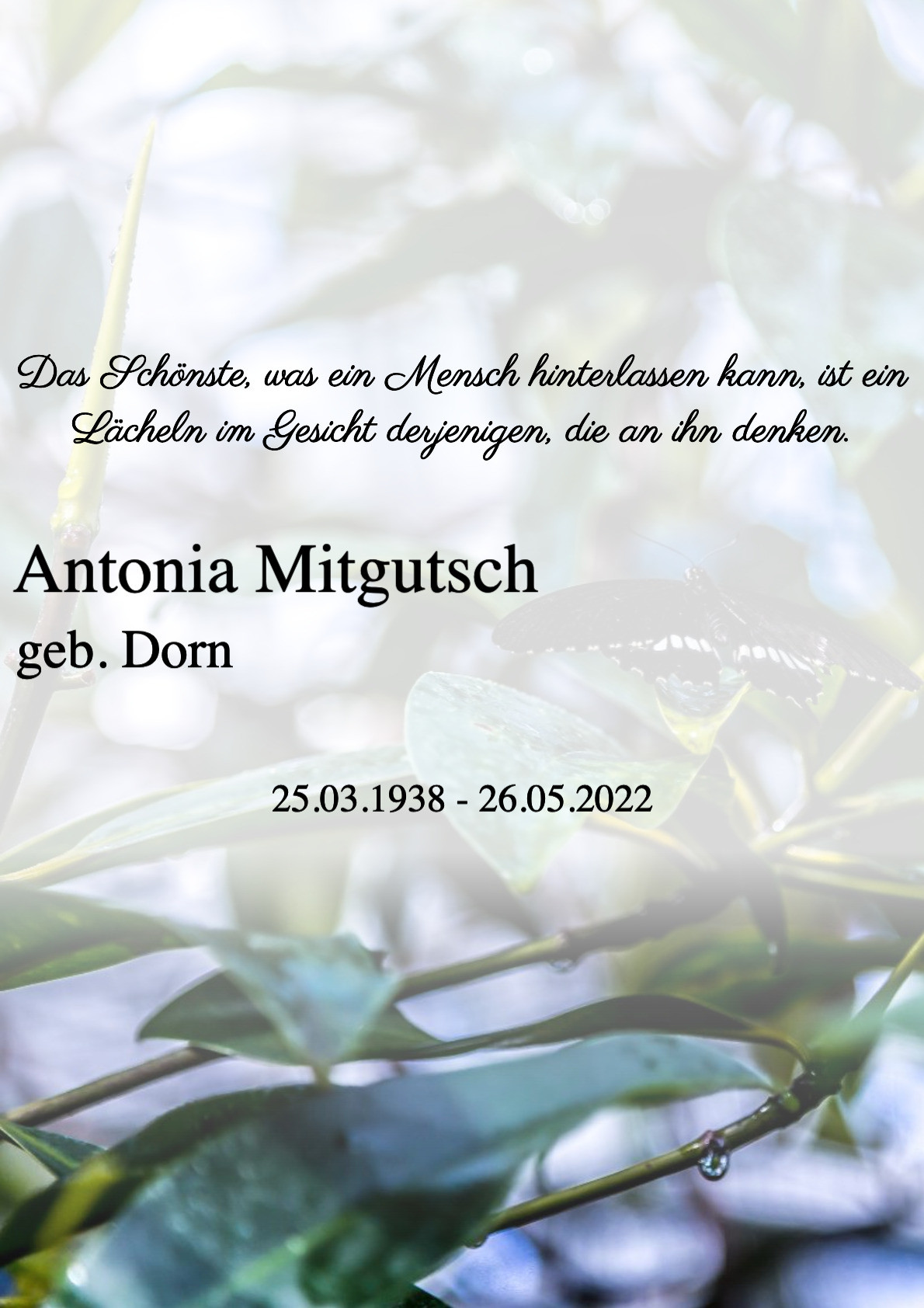 Traueranzeige von Antonia Mitgutsch
